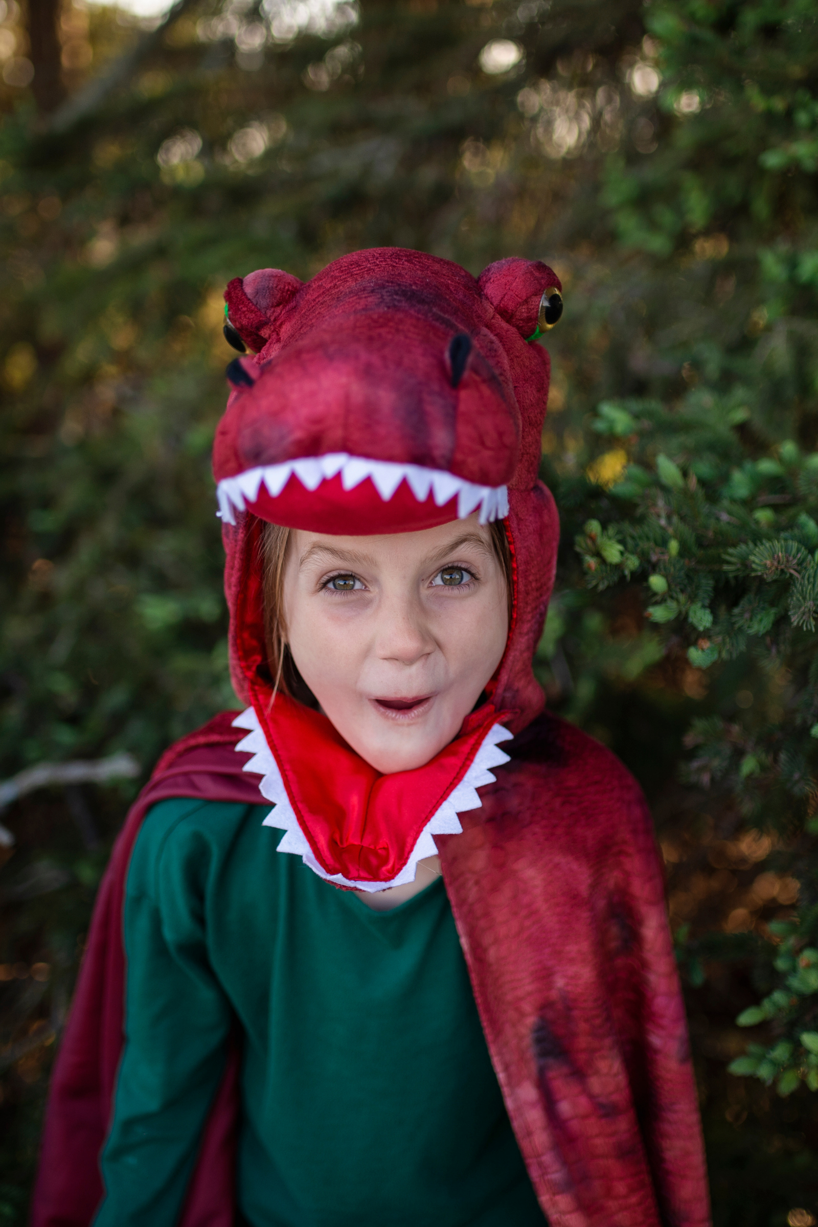 Grandasaurus T-Rex Cape with Claws