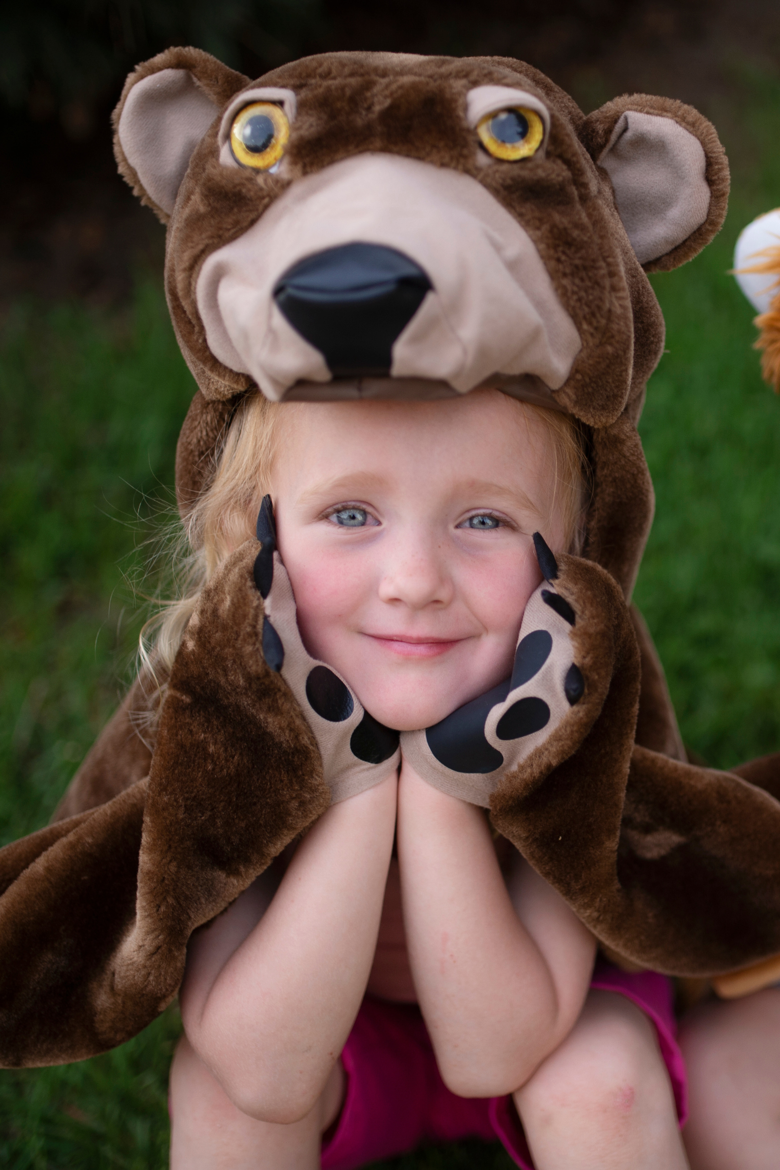 Toddler/ Woodland Storybook Bear Cape