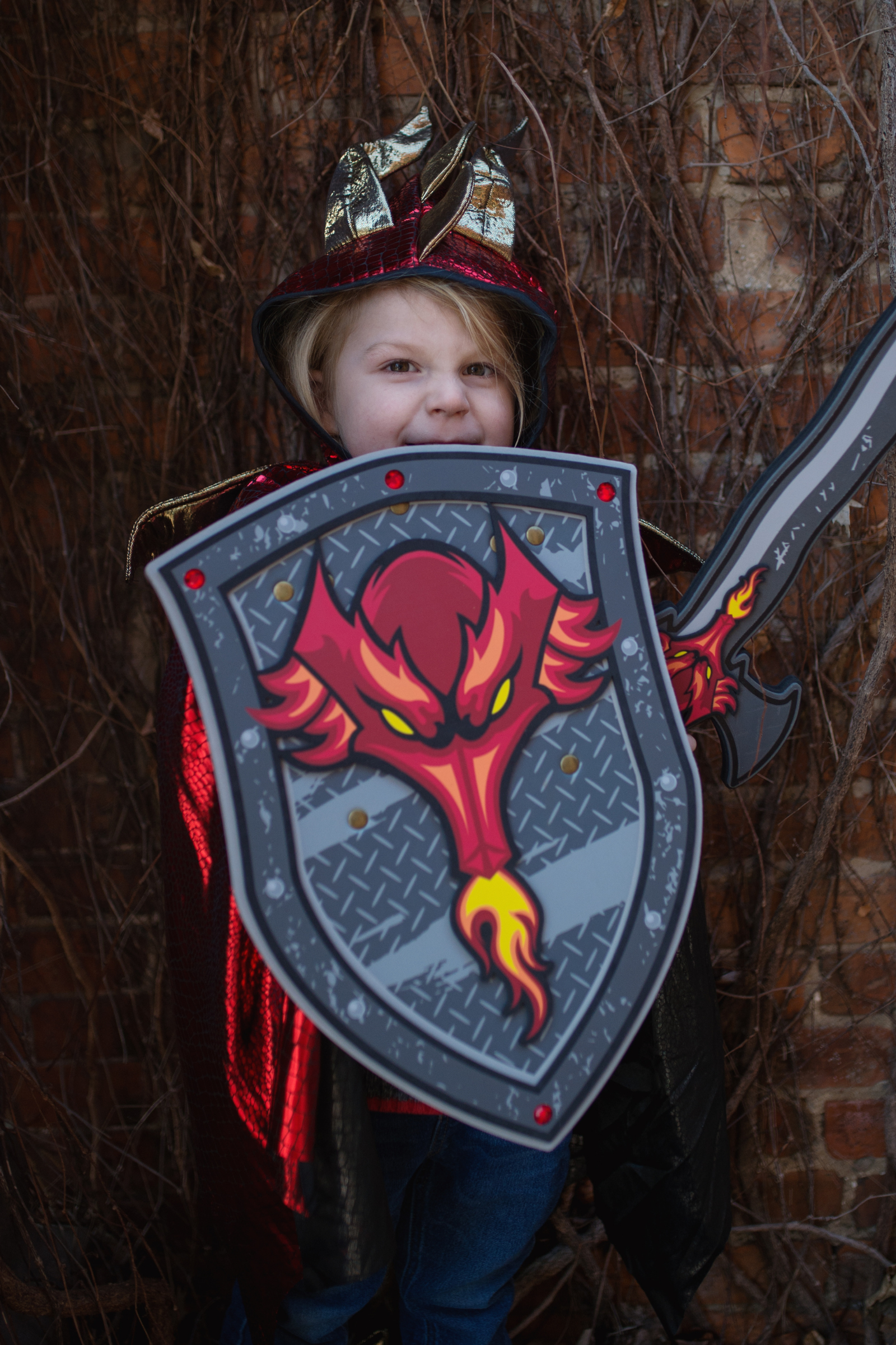 EVA Dragon Shield