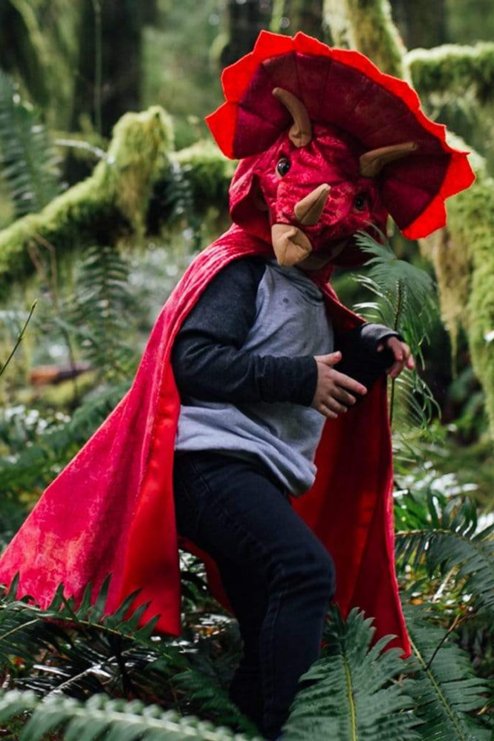 Cape de Tricératops rouge avec capuche