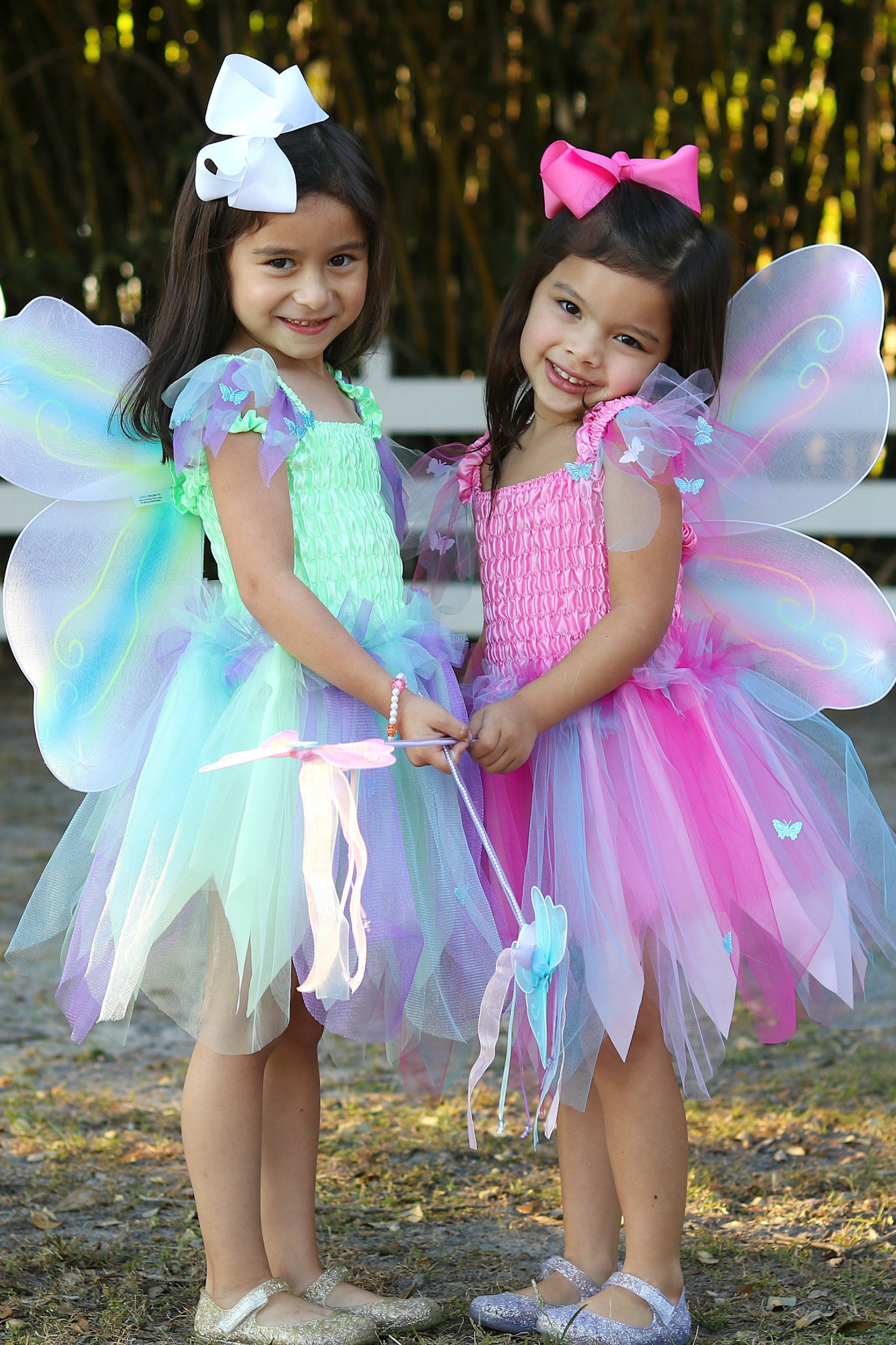 Butterfly Dress with Wings & Wand, Multicolour