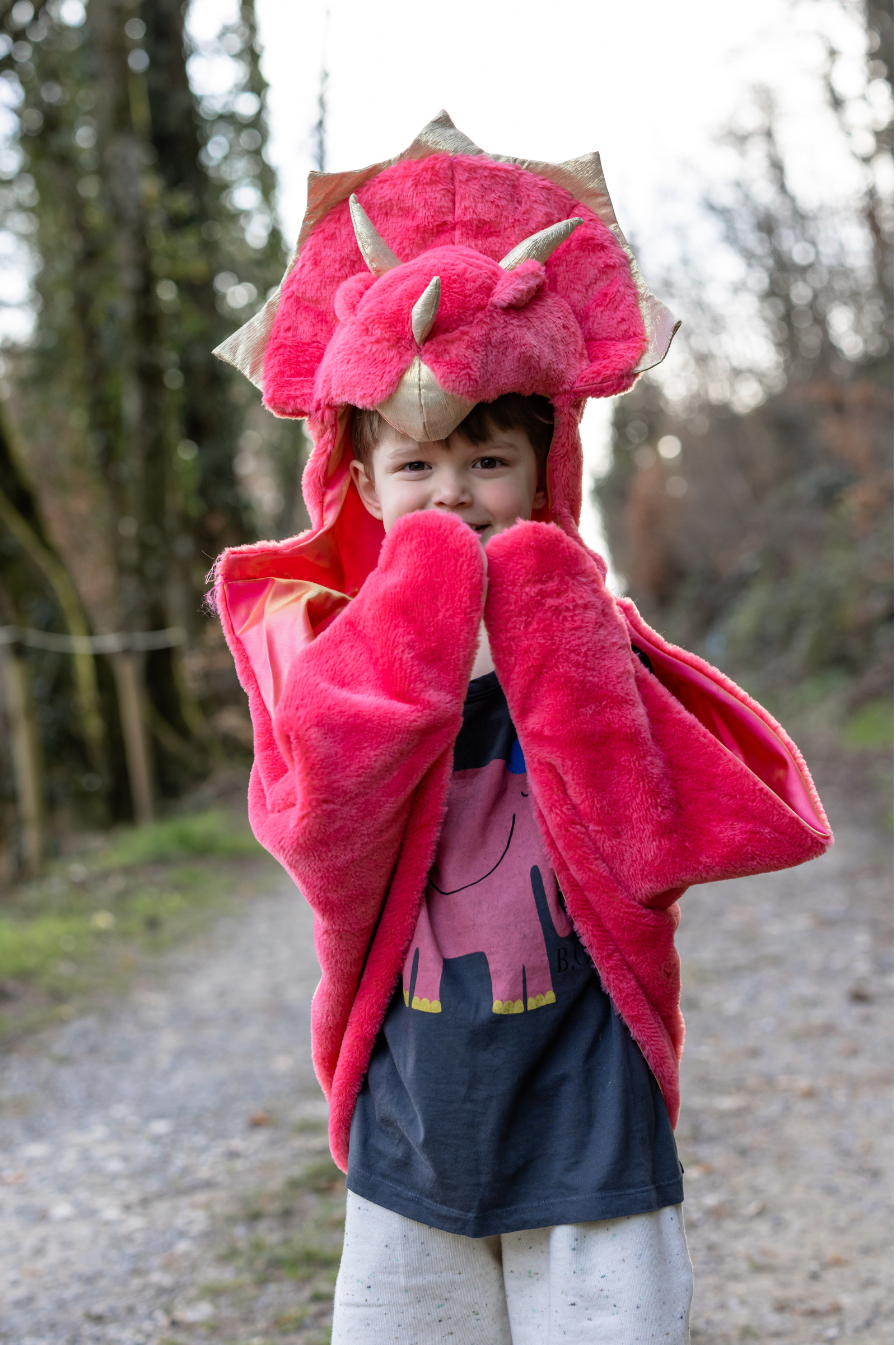 Toddler/ Triceratops Cuddle Cape, Red