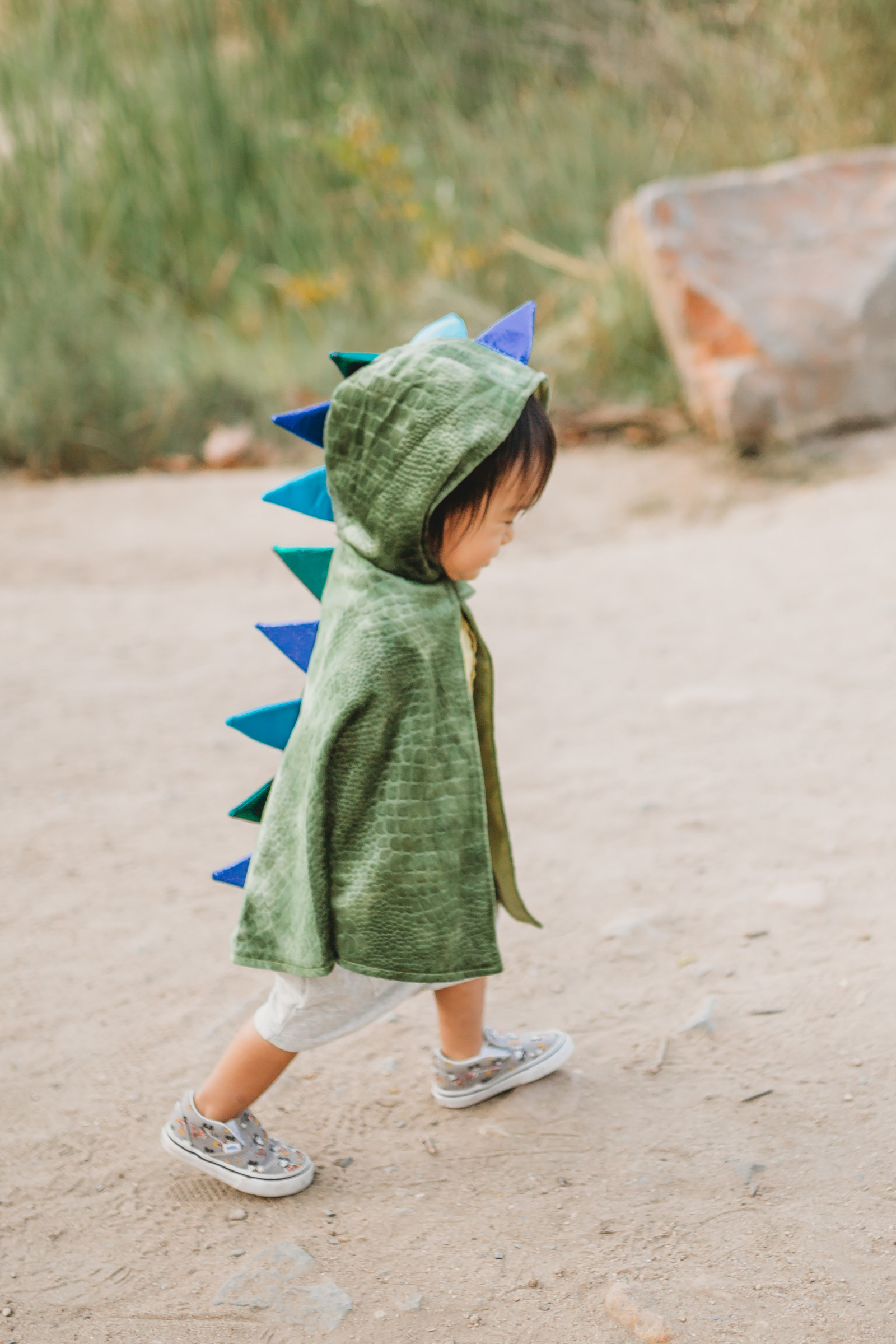 Baby/Toddler Dragon Cape