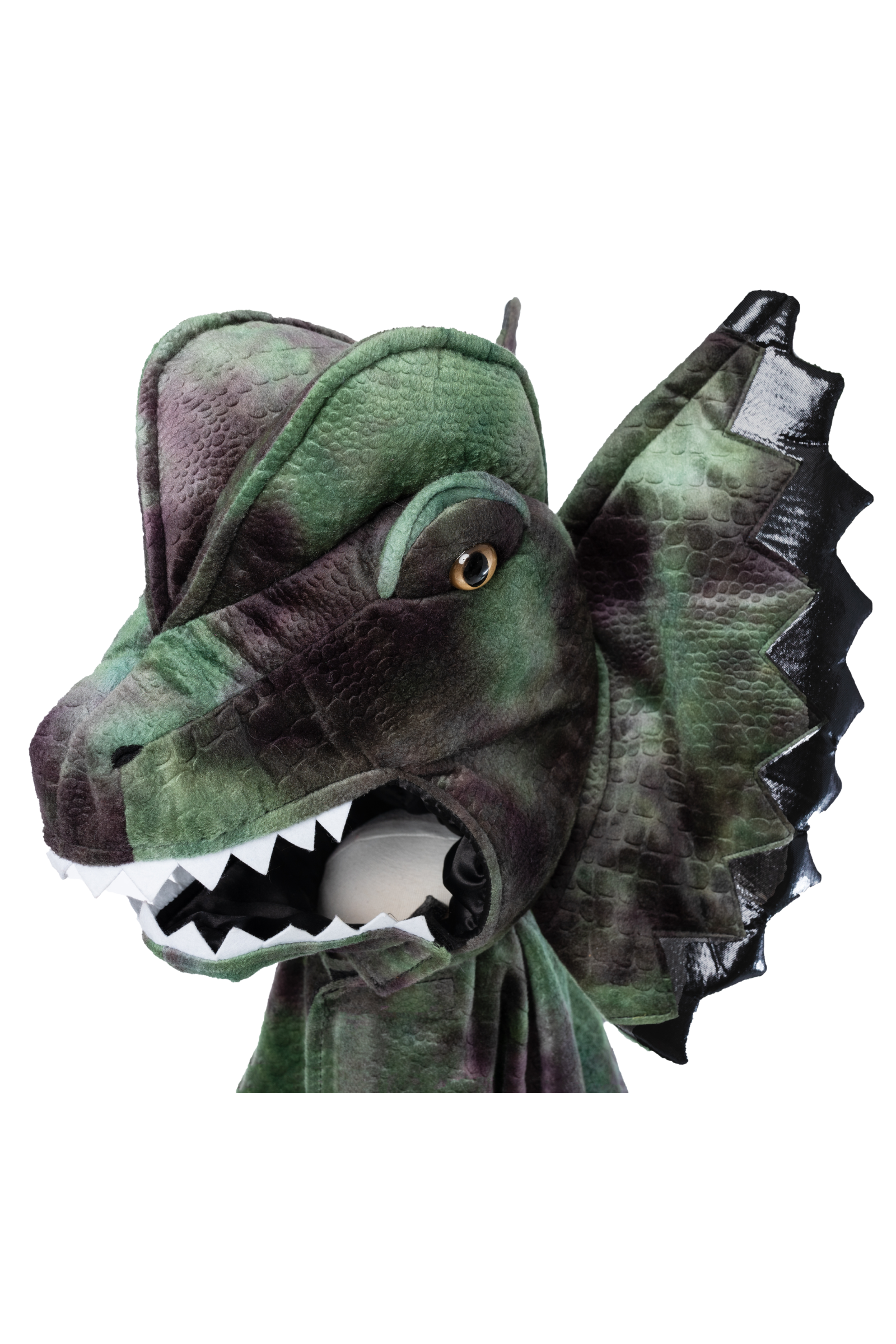 Grandasuarus Dilophosaurus Cape with Claws