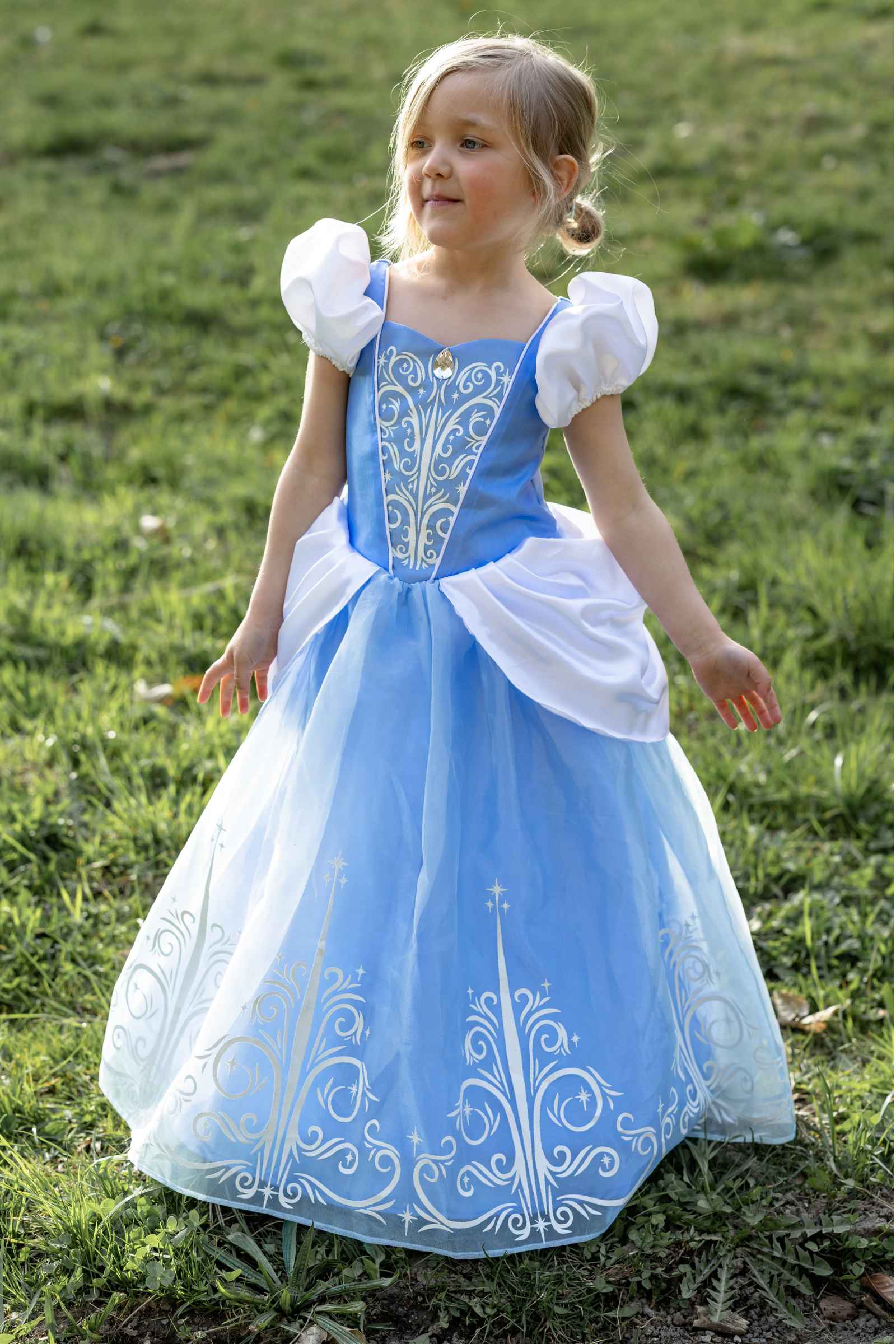 Toddler/ Once Upon a Princess Glass Slipper Dress
