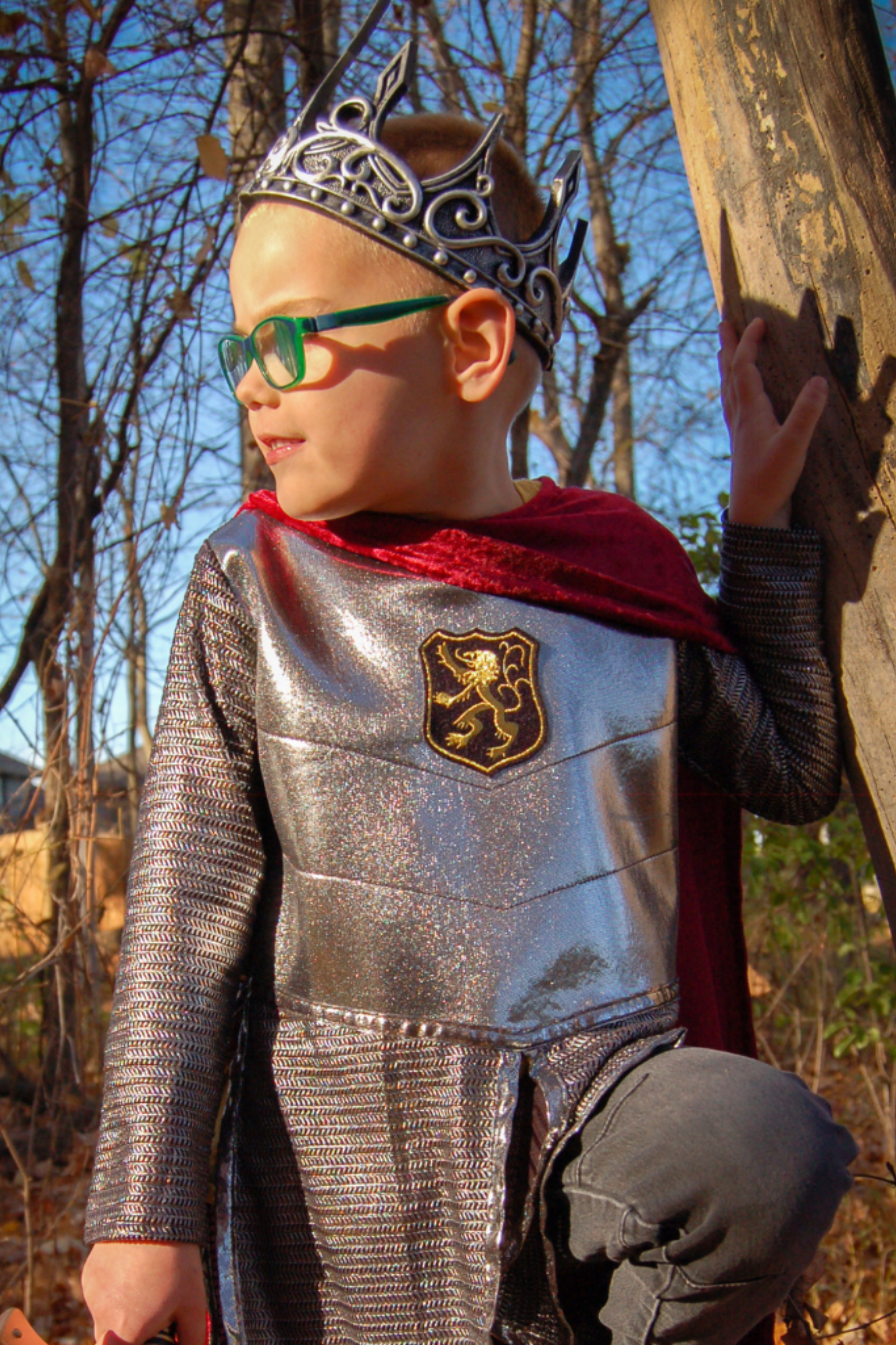 Silver Knight Cape