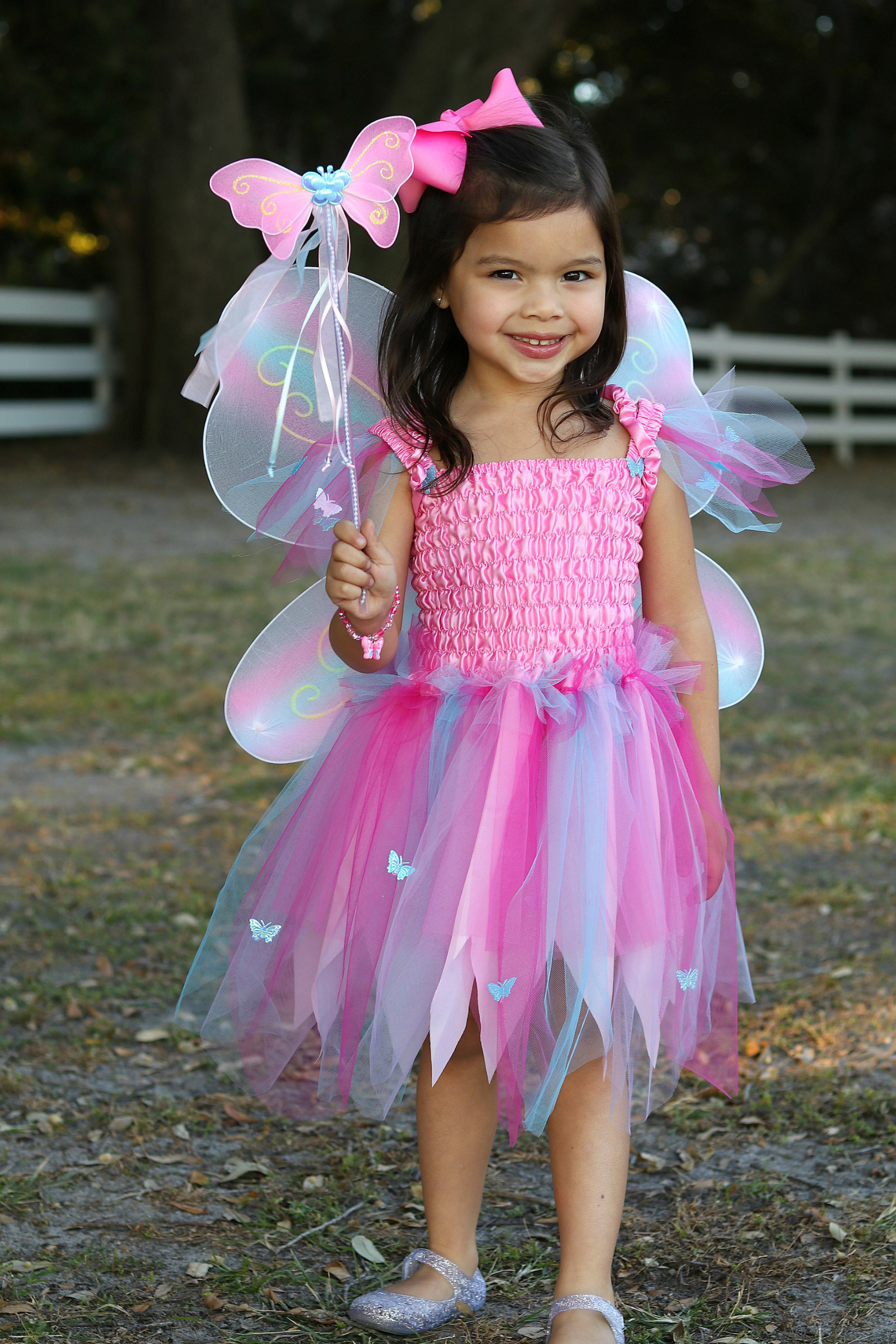 Butterfly Dress with Wings & Wand, Pink