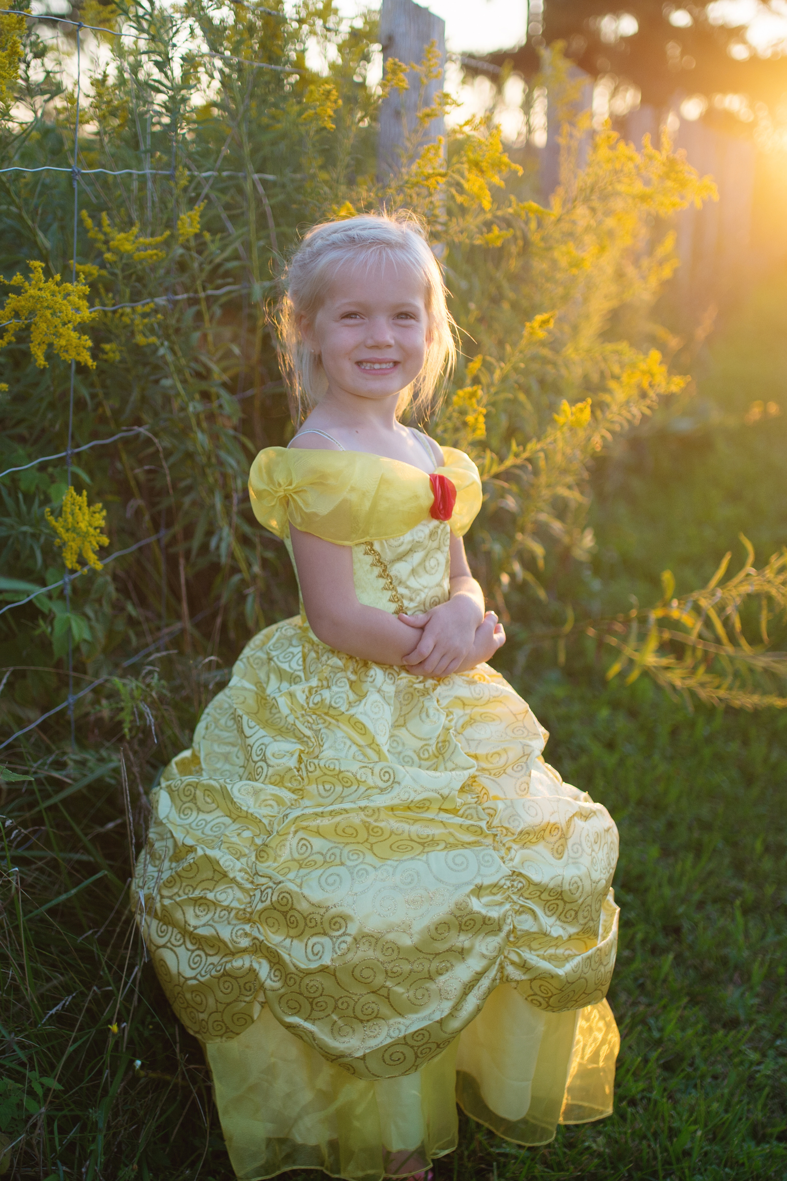 Fairytale Princess Gold Gown