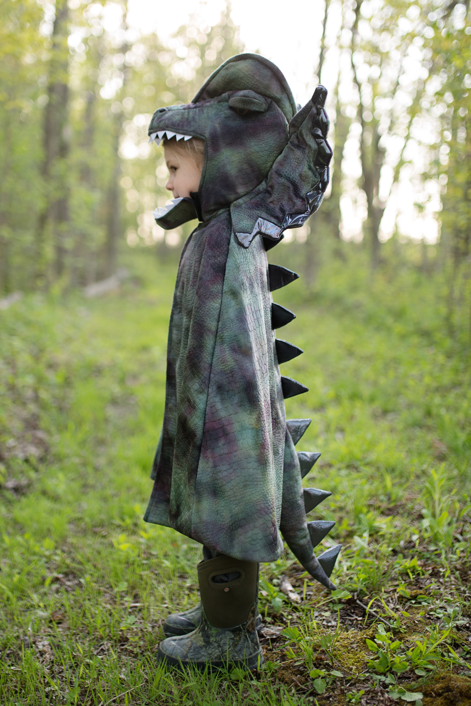 Grandasuarus Dilophosaurus Cape with Claws