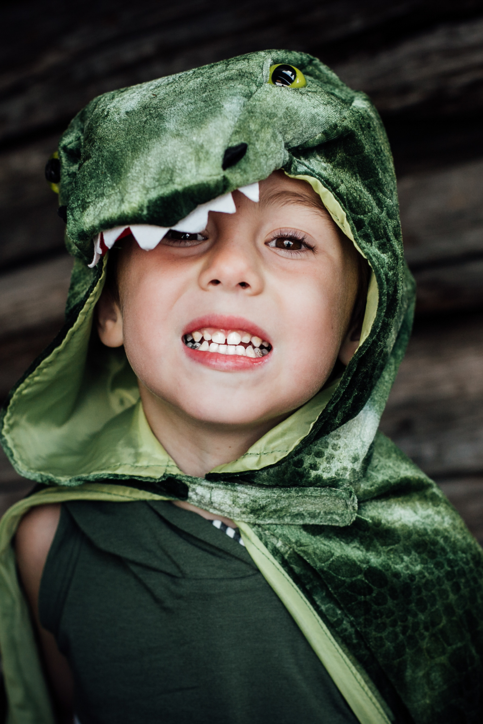 T-Rex Hooded Cape, Green