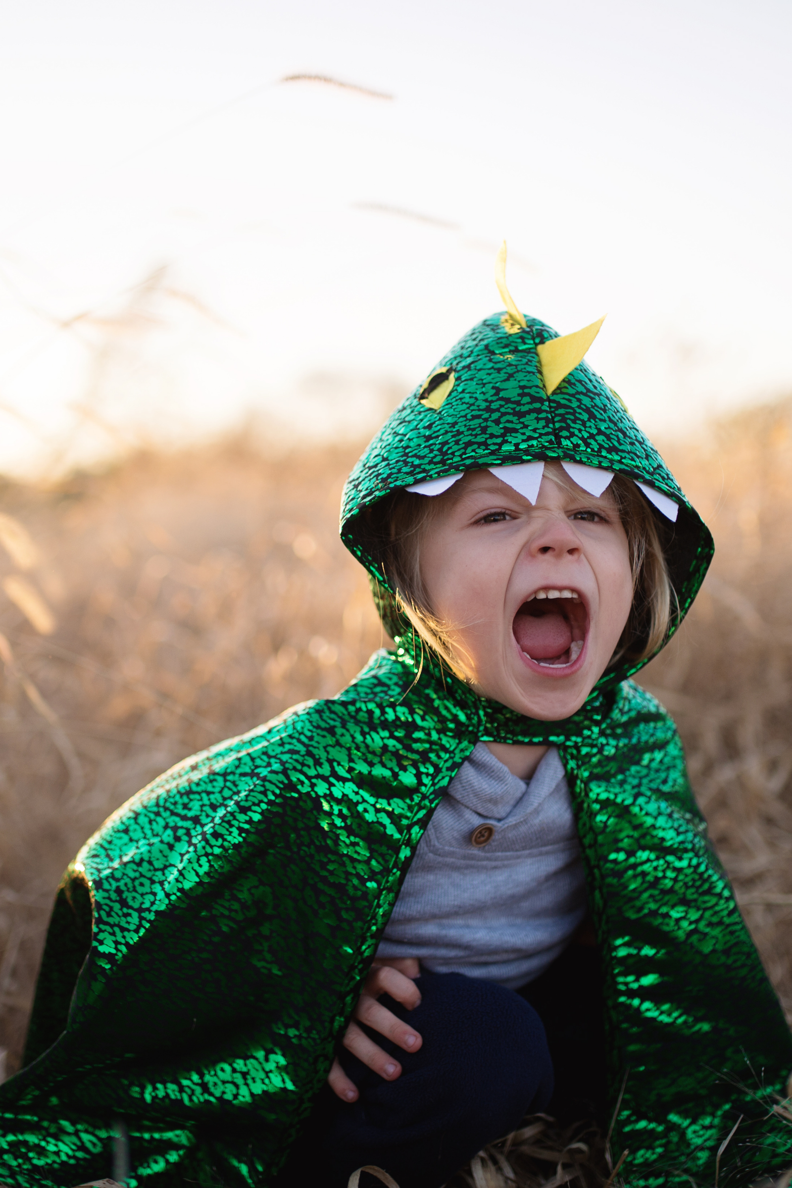 Toddler Dragon Cape, Green