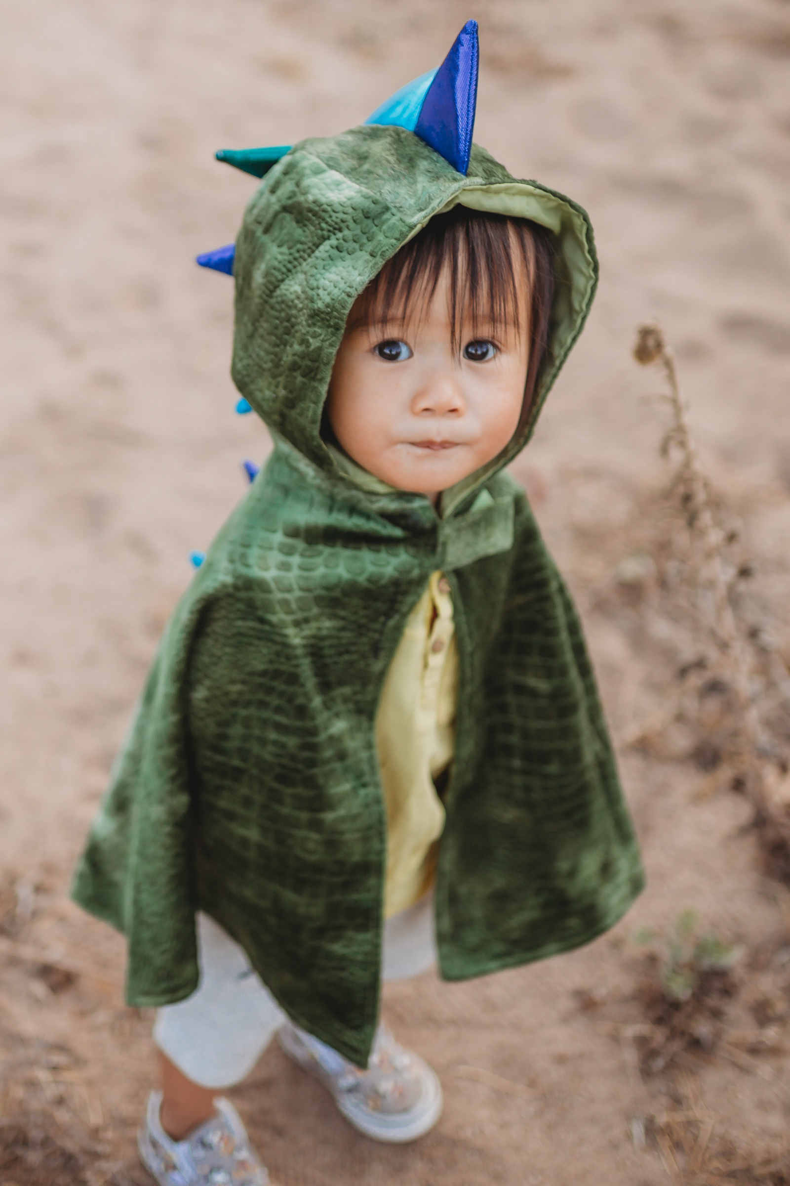 Baby/Toddler Dragon Cape
