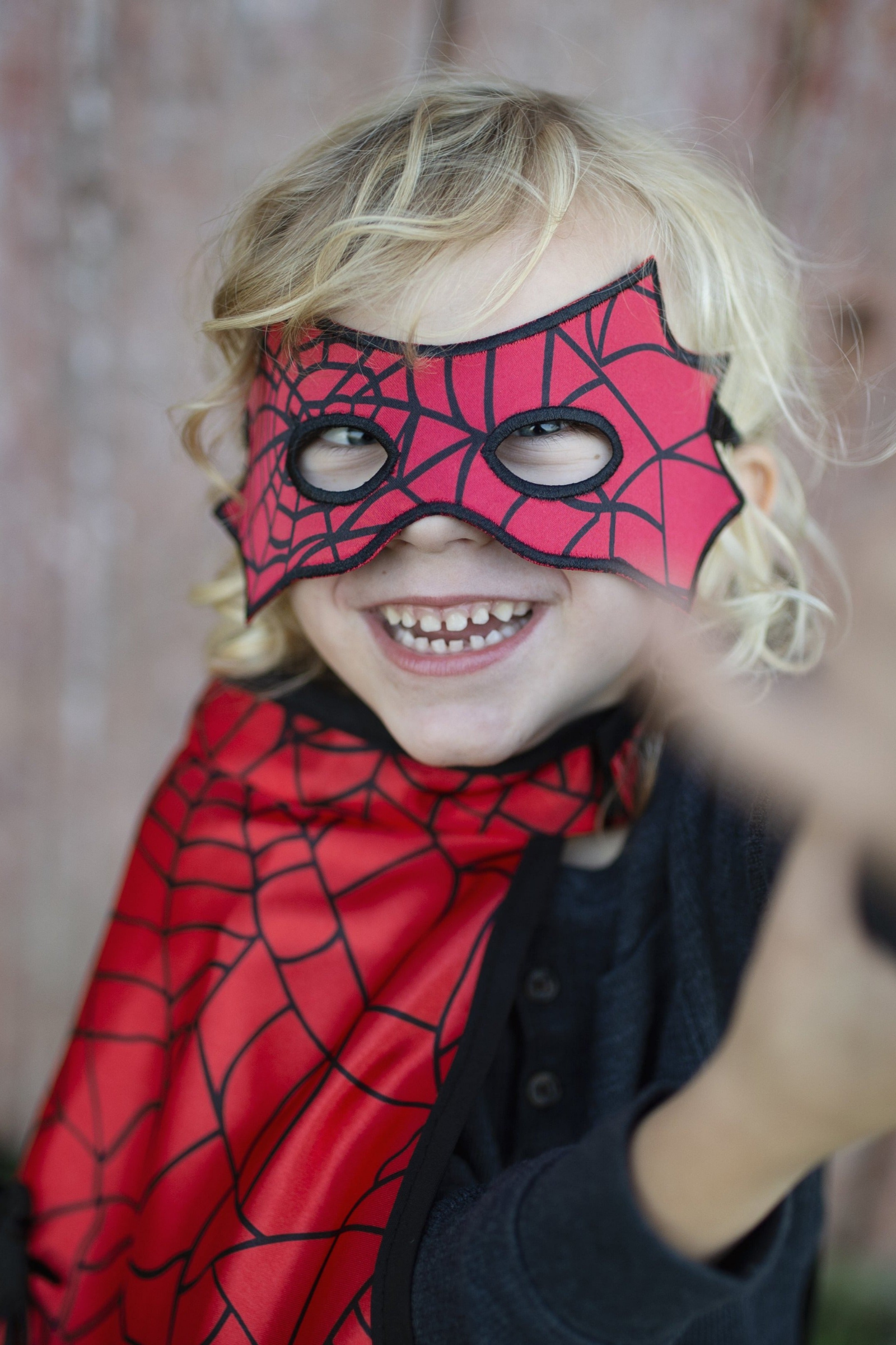 Reversible Spider and Bat Cape with Mask
