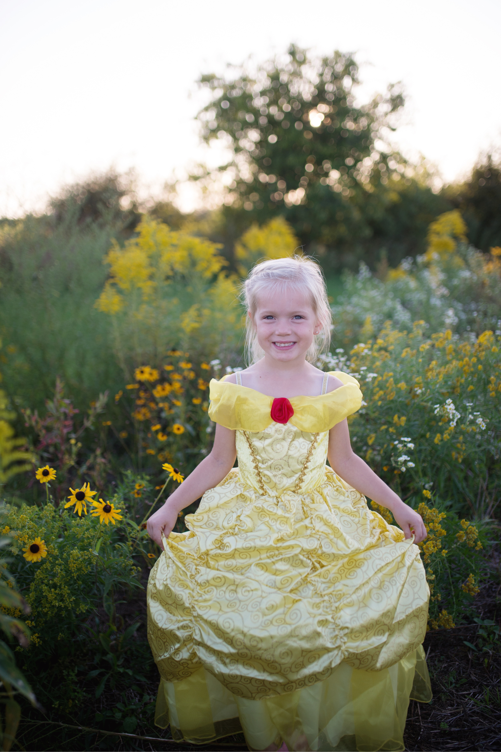 Fairytale Princess Gold Gown