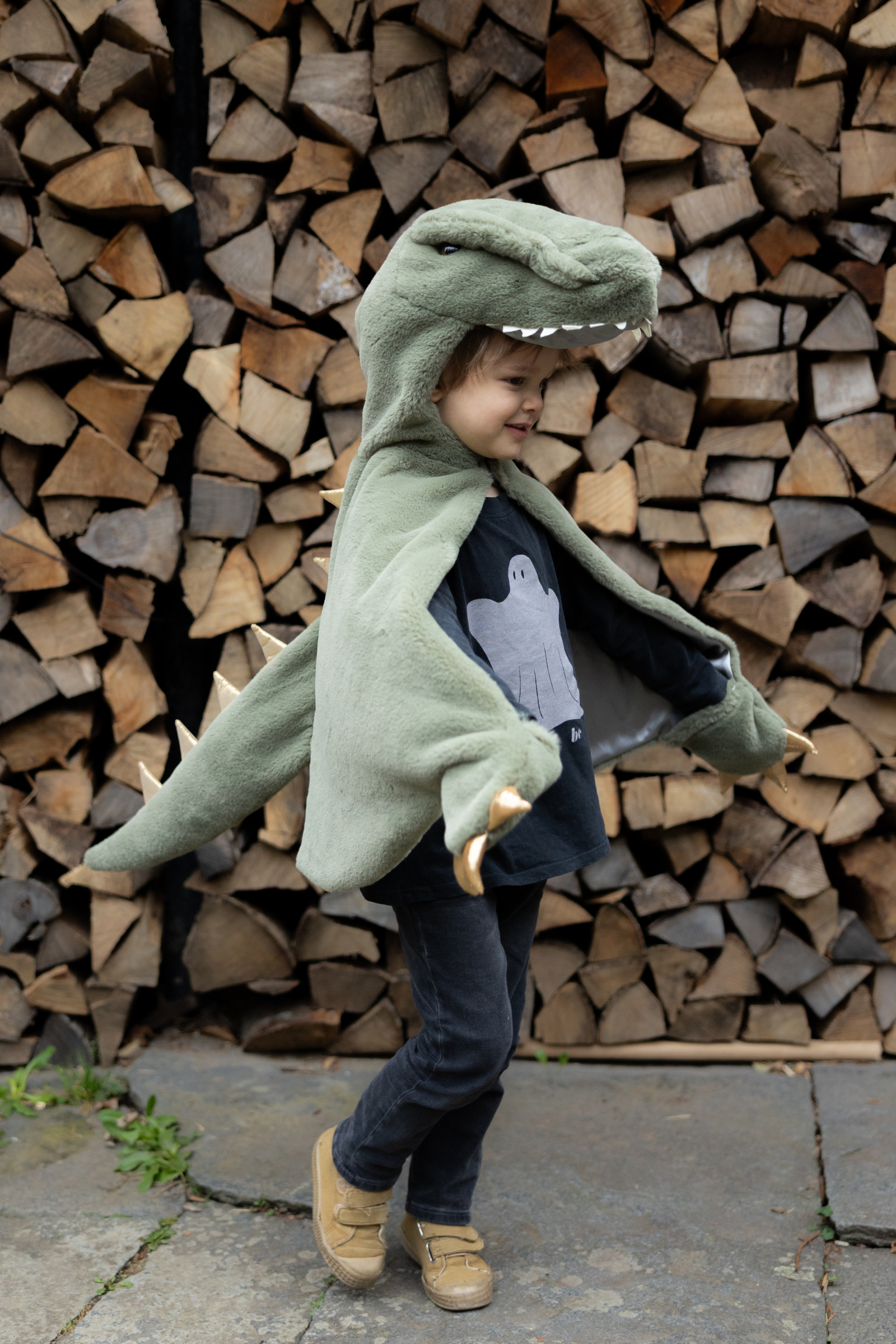 Toddler/ T-Rex Cuddle Cape, Green