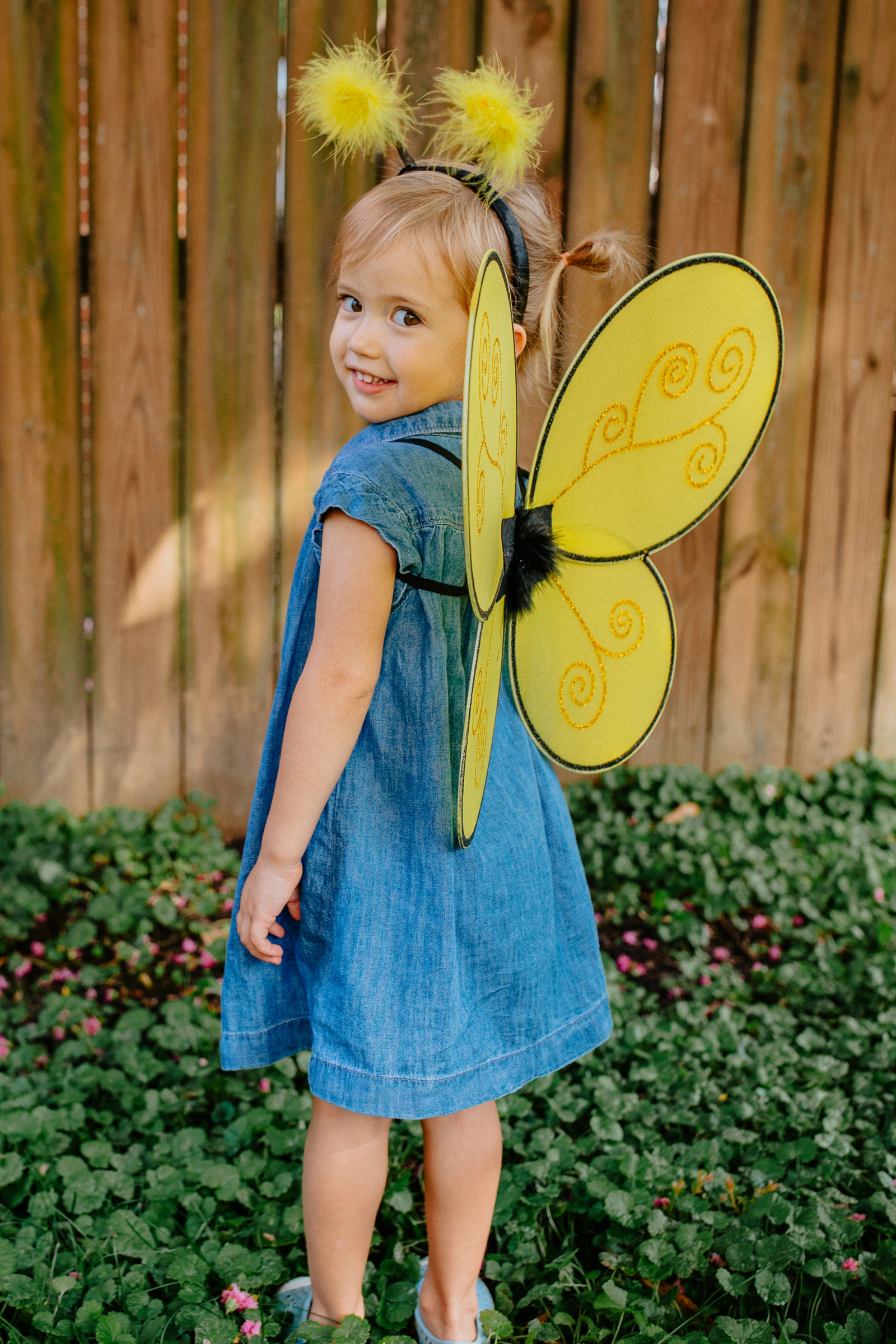 Bumble Bee Wings & Headband Set (2 pcs)