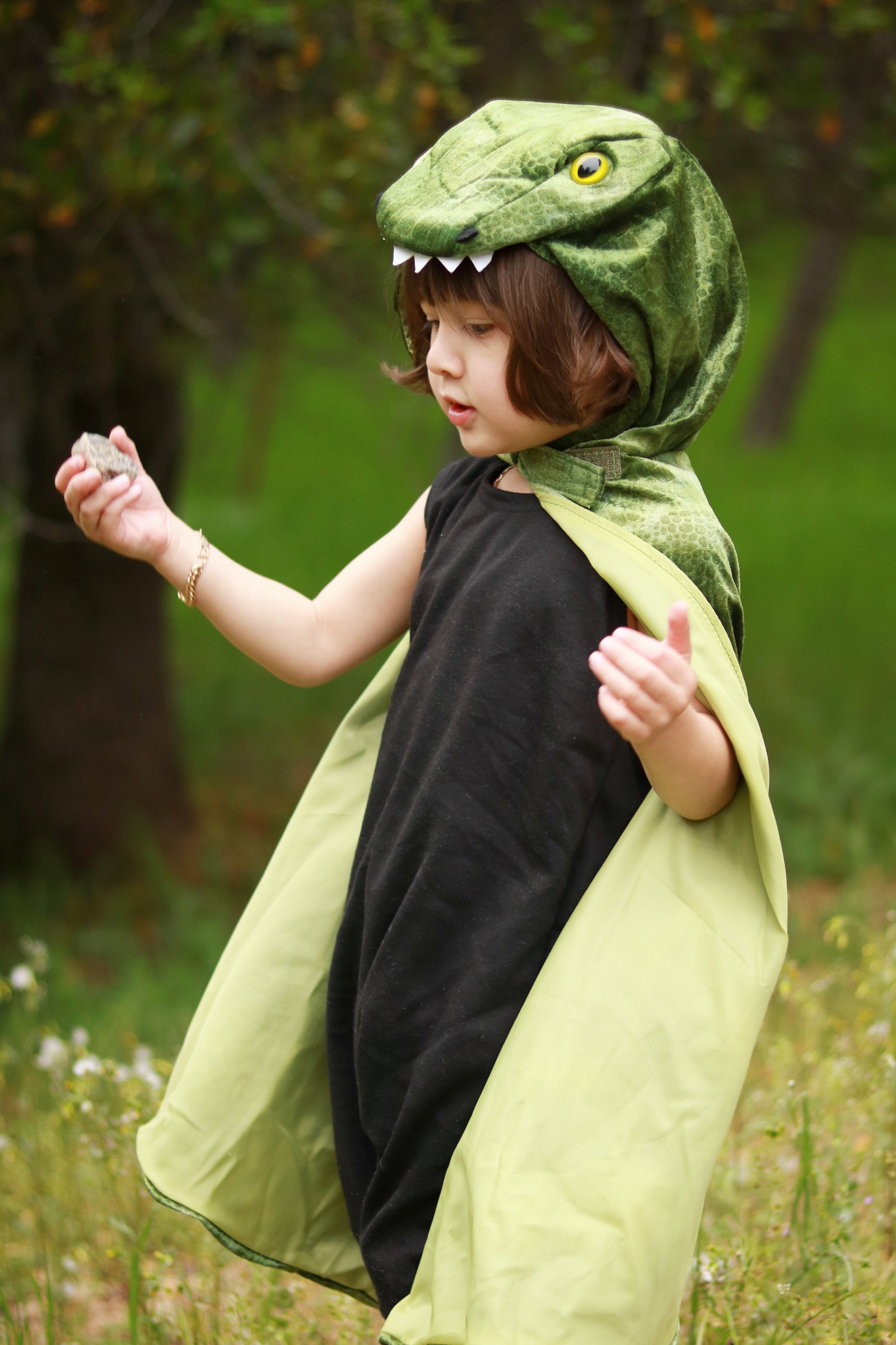 T-Rex Hooded Cape, Green