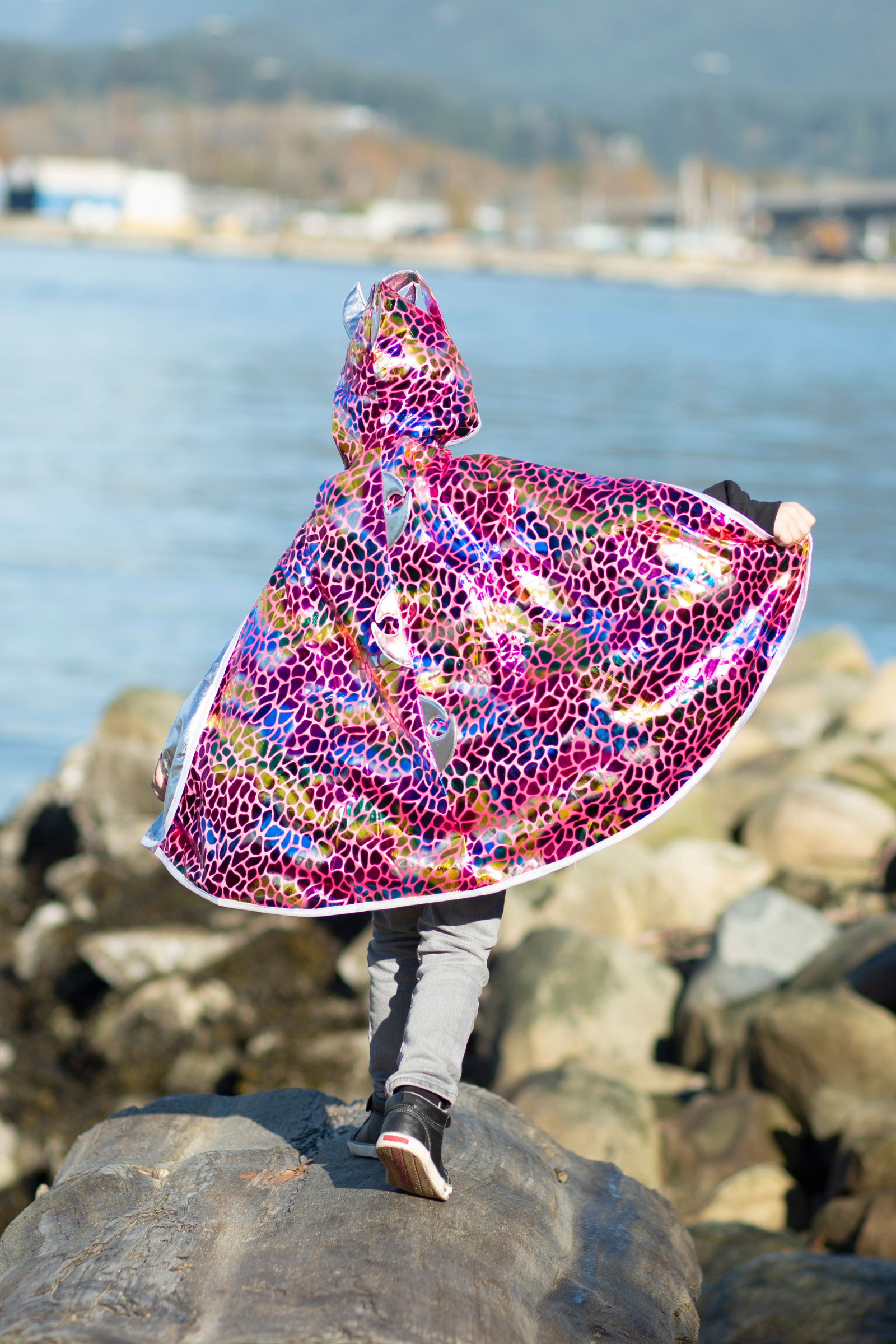 Dragon Knight Cape, Multicolour/Silver