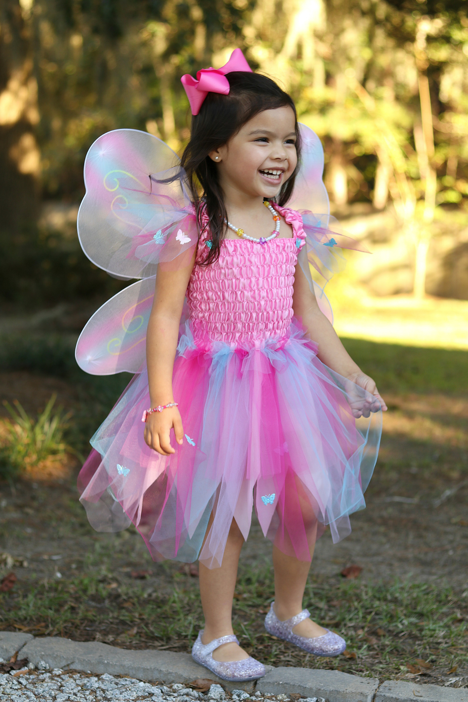 Butterfly Dress with Wings & Wand, Pink