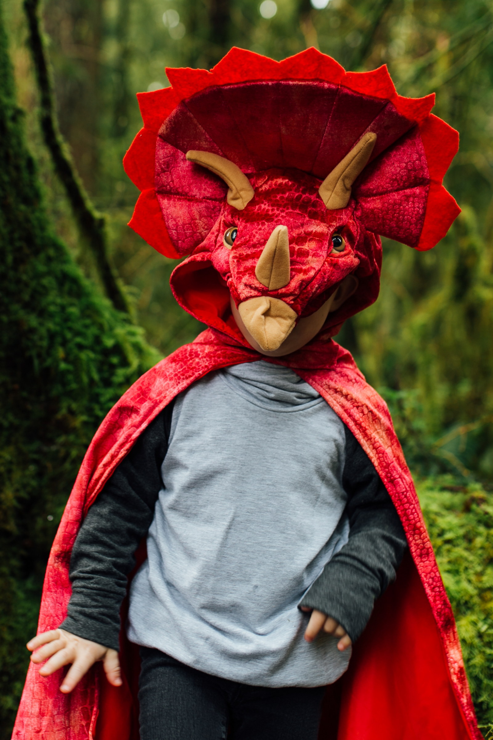 Cape de Tricératops rouge avec capuche