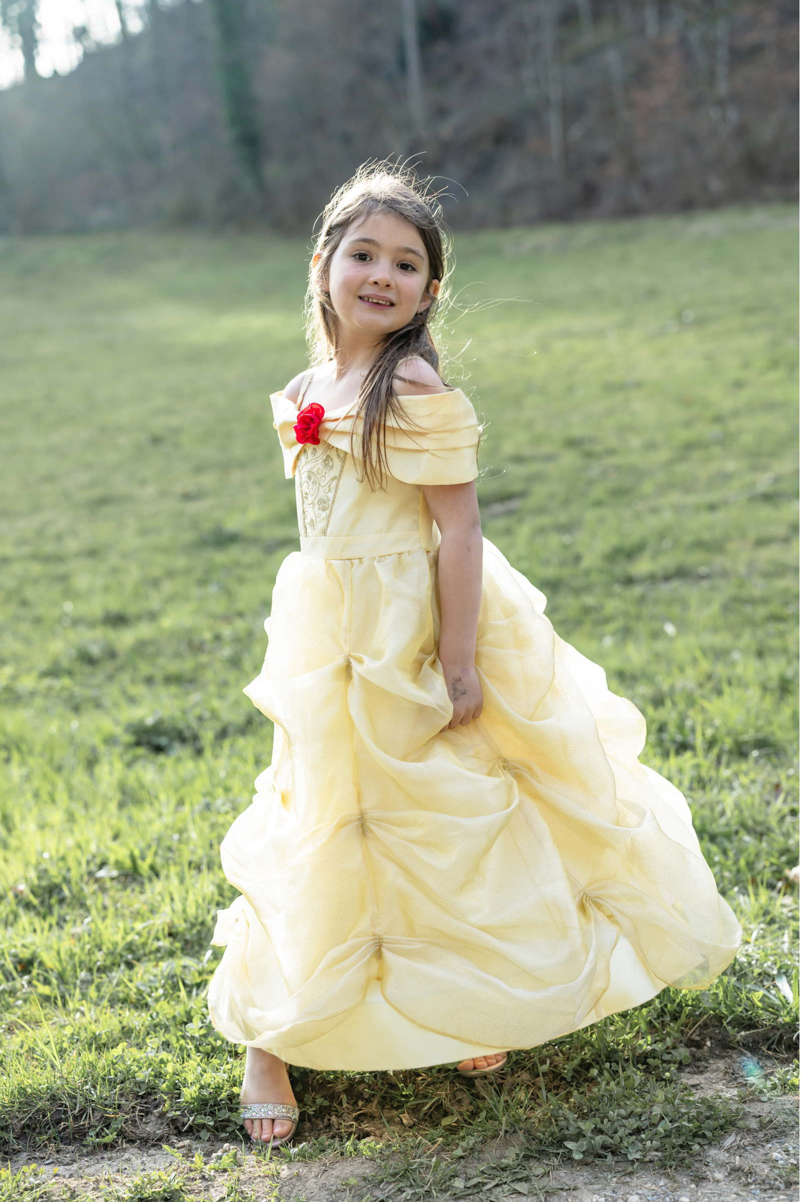 Toddler/ Once Upon a Princess Beauty Dress