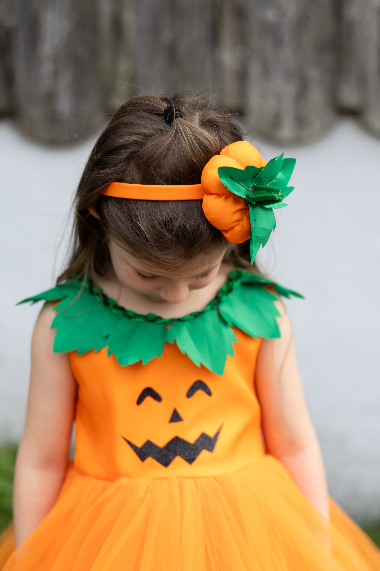 Toddler/ Pumpkin Patch Princess Dress