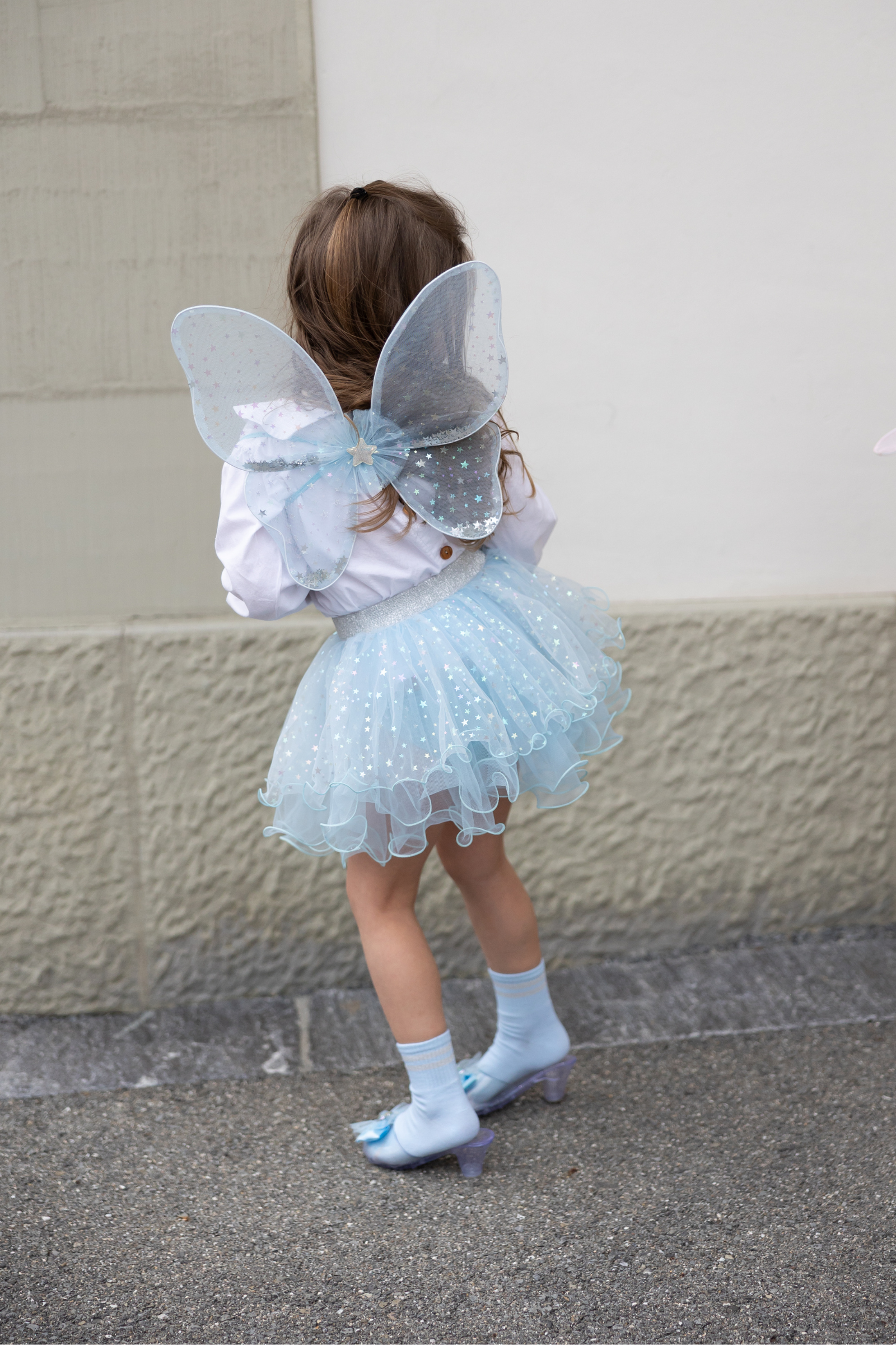 Iridescent Celestial Fairy Wings with Tutu & Wand