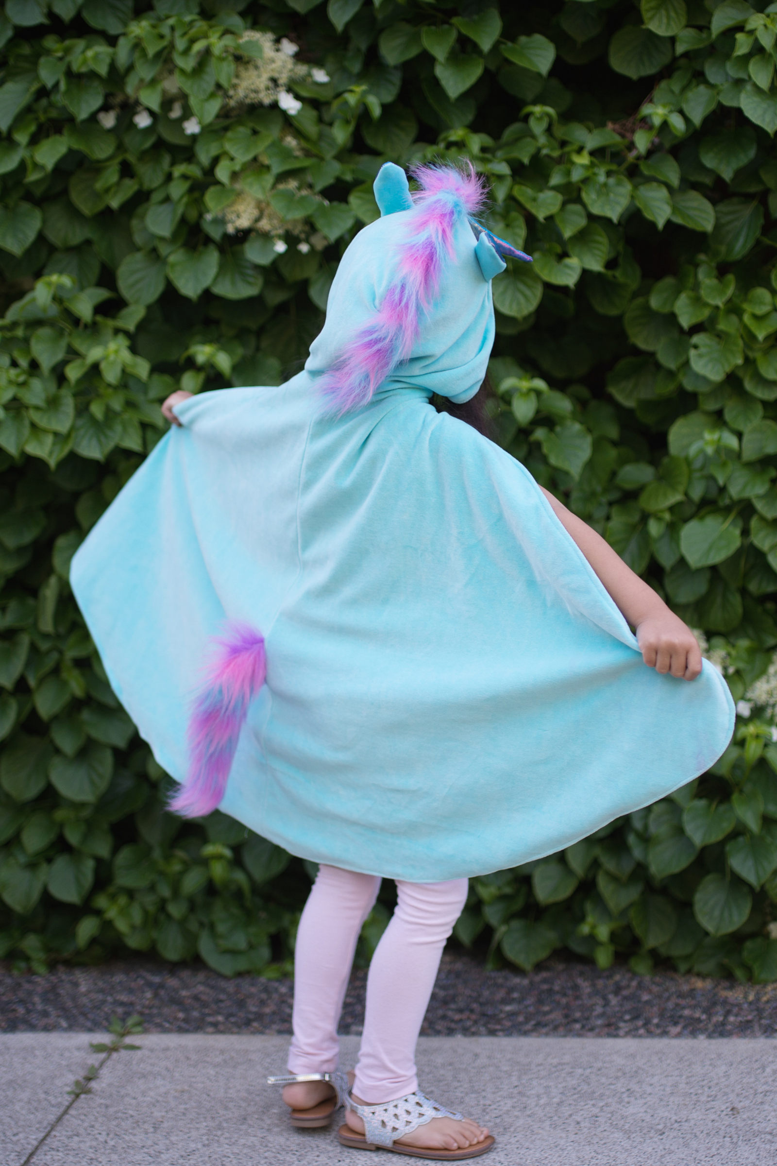 Reversible Unicorn and Dragon Cape