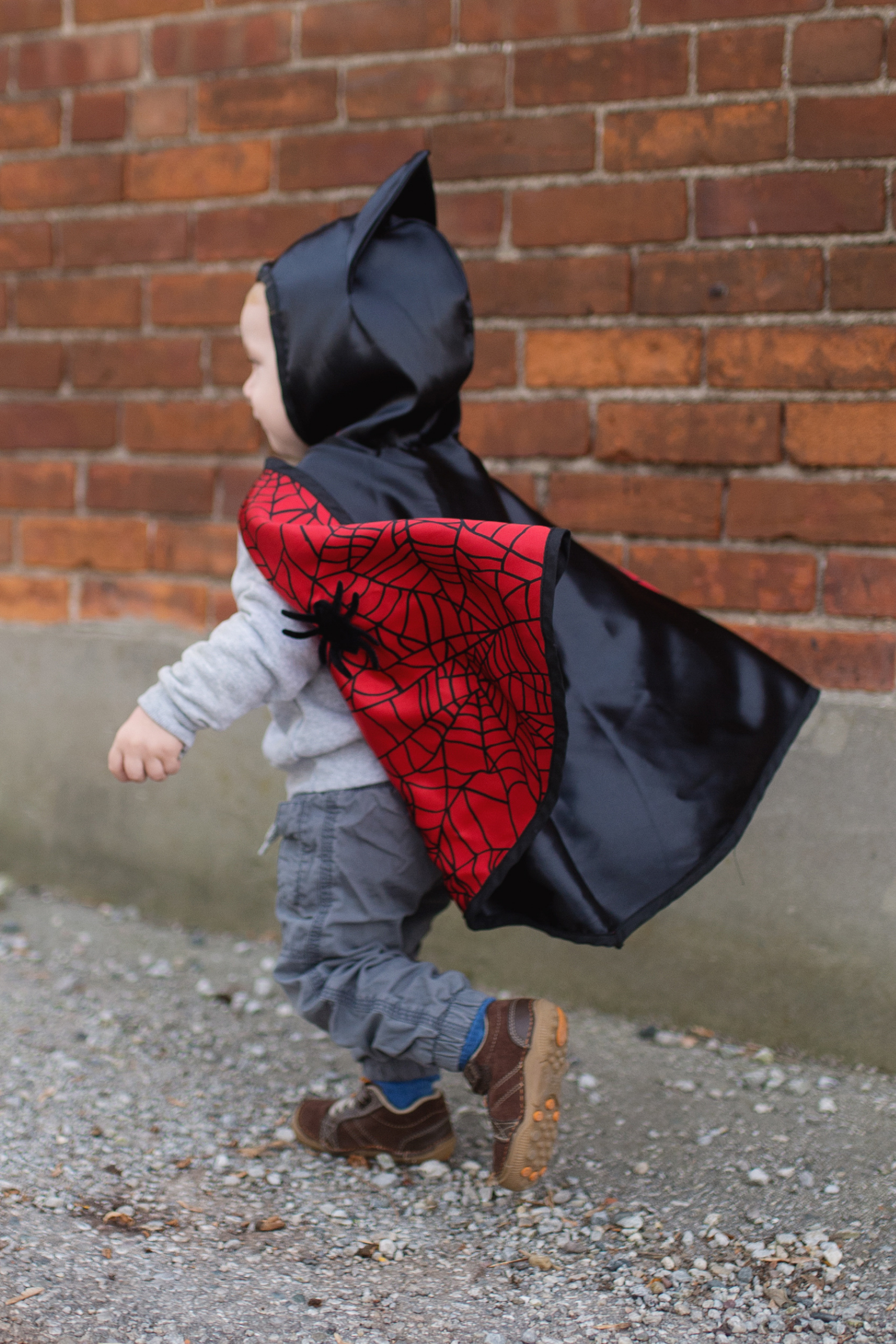 Baby/Toddler Reversible Spider and Bat Cape