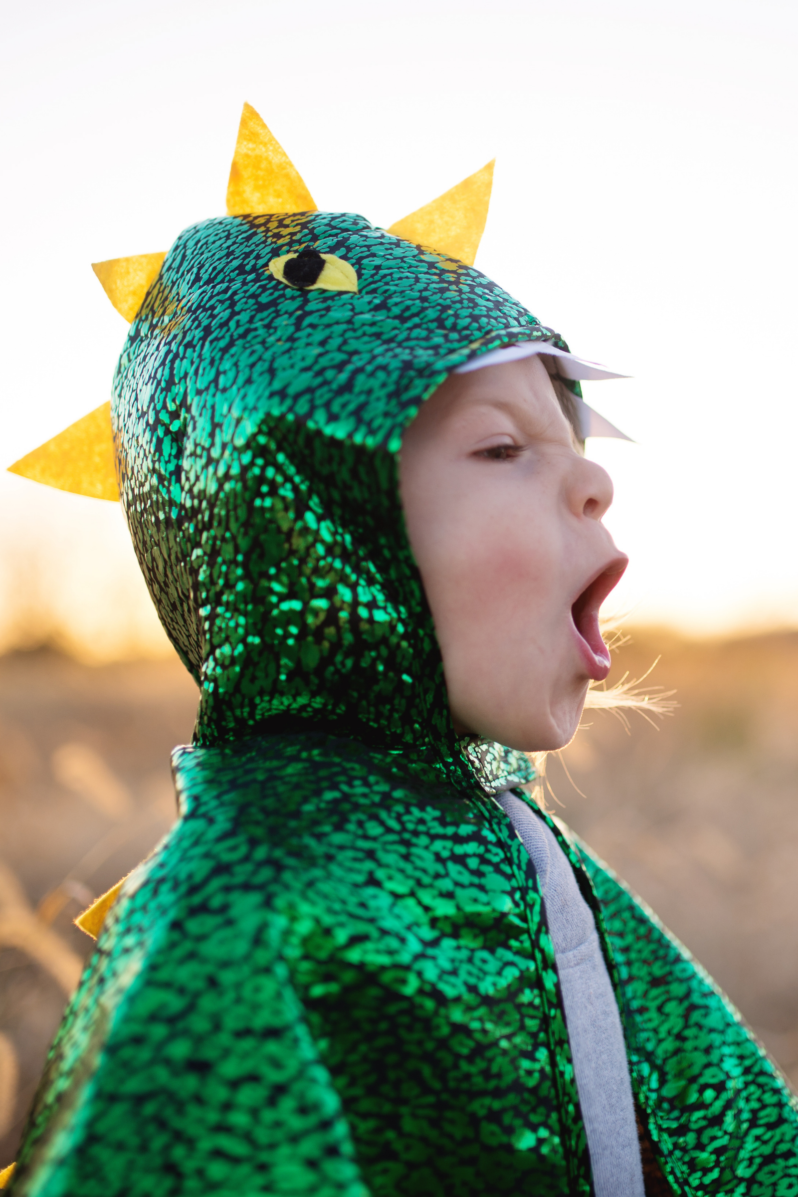 Toddler Dragon Cape, Green