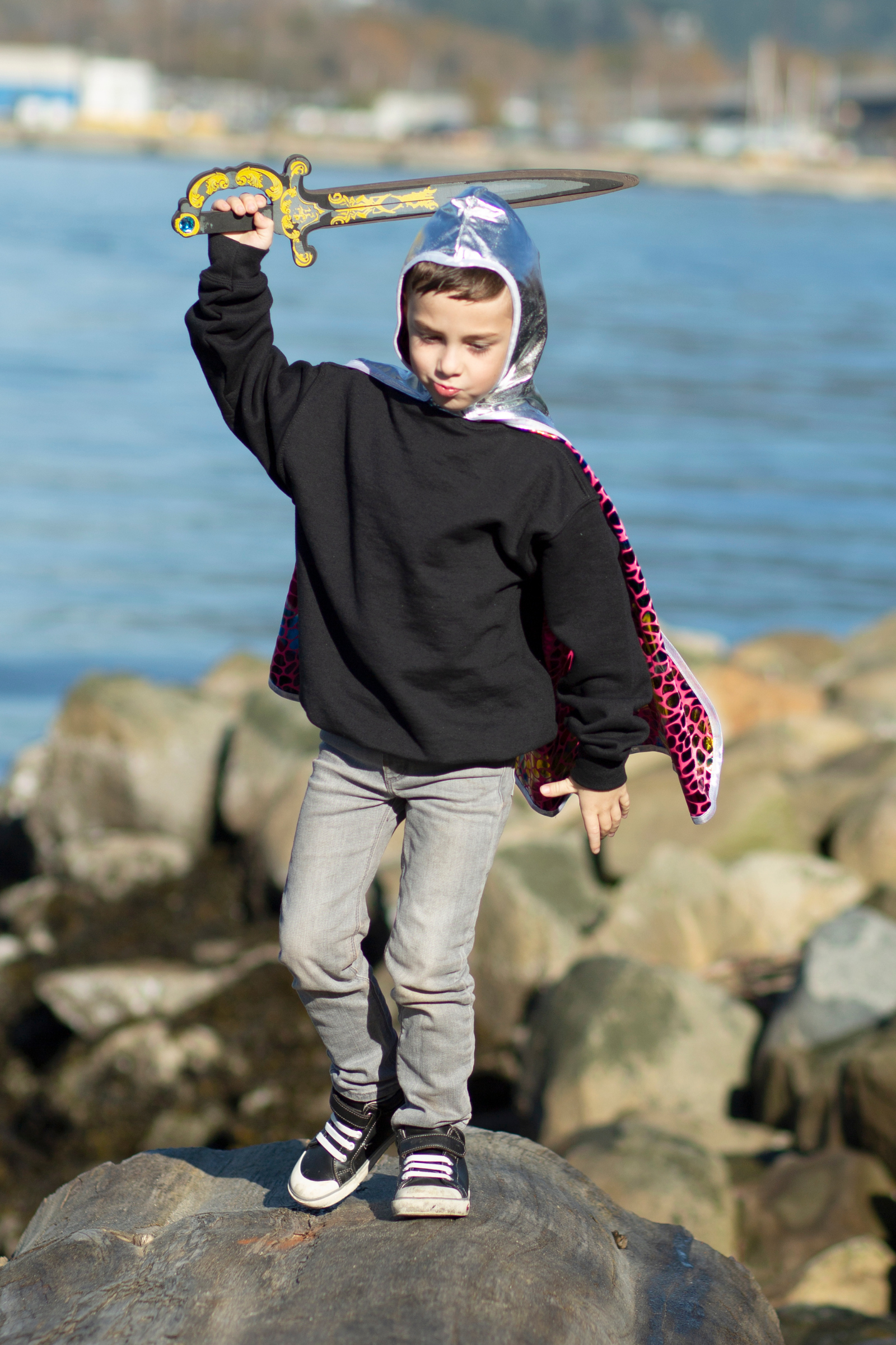 Dragon Knight Cape, Multicolour/Silver