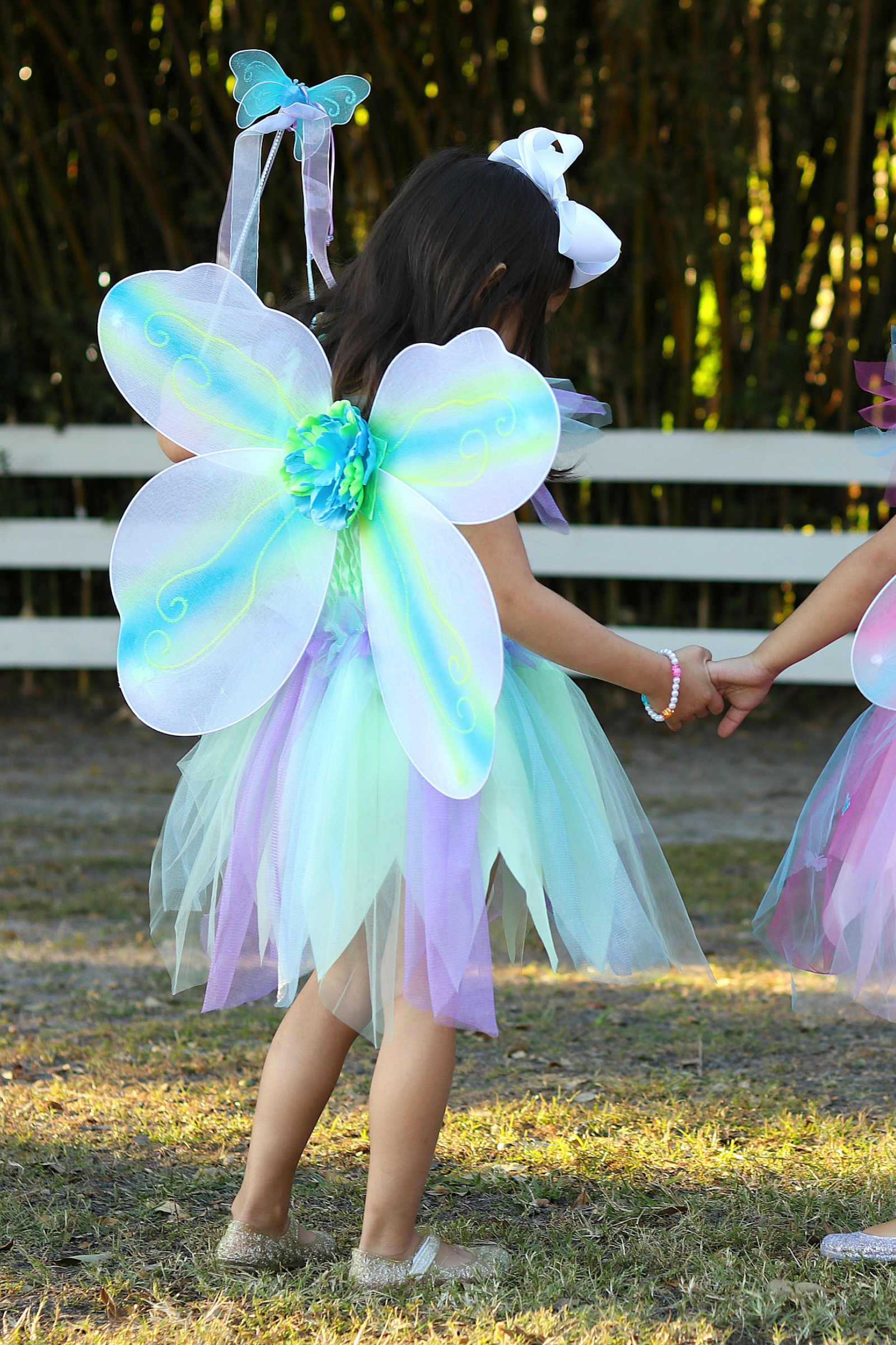 Butterfly Dress with Wings & Wand, Multicolour