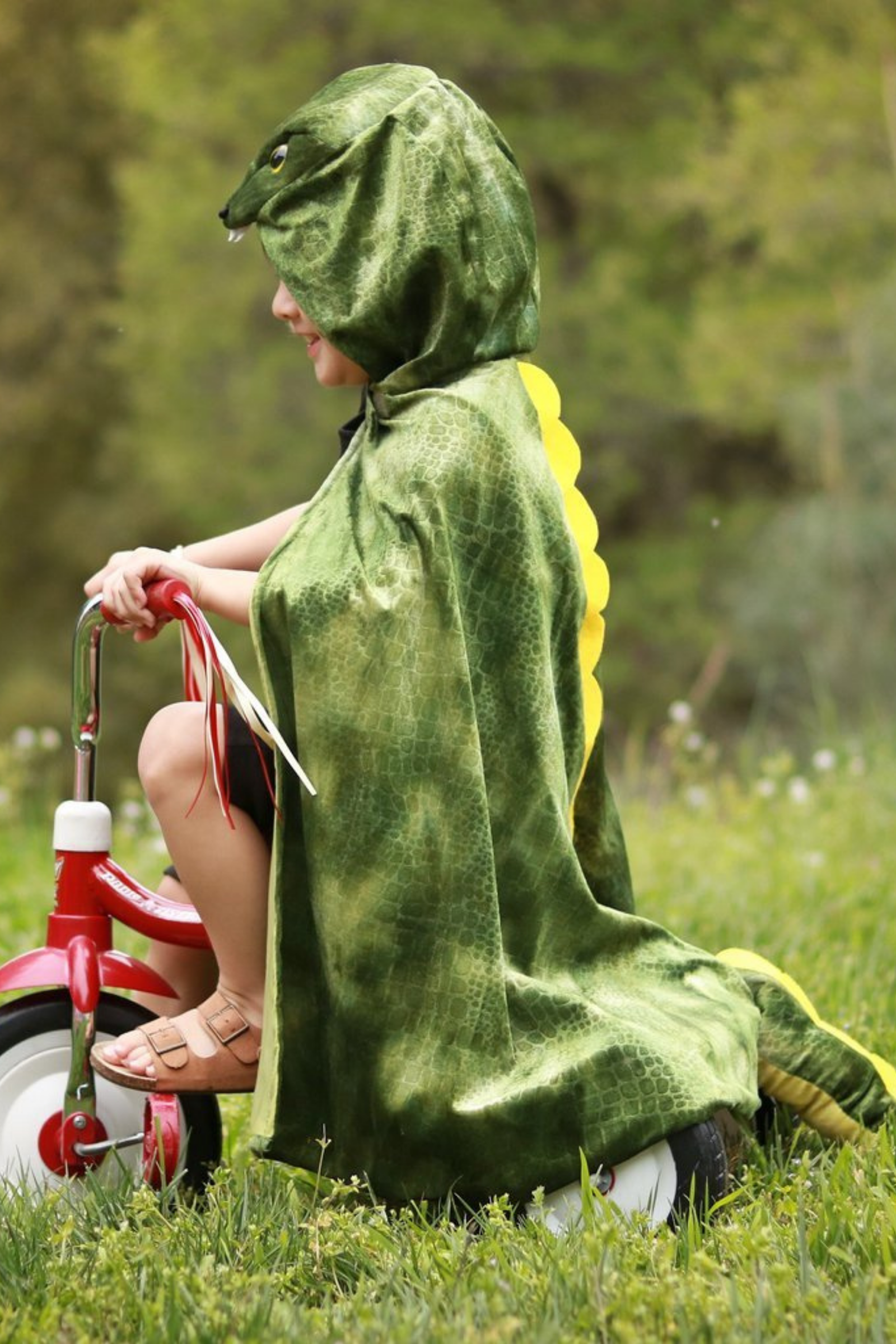 T-Rex Hooded Cape, Green