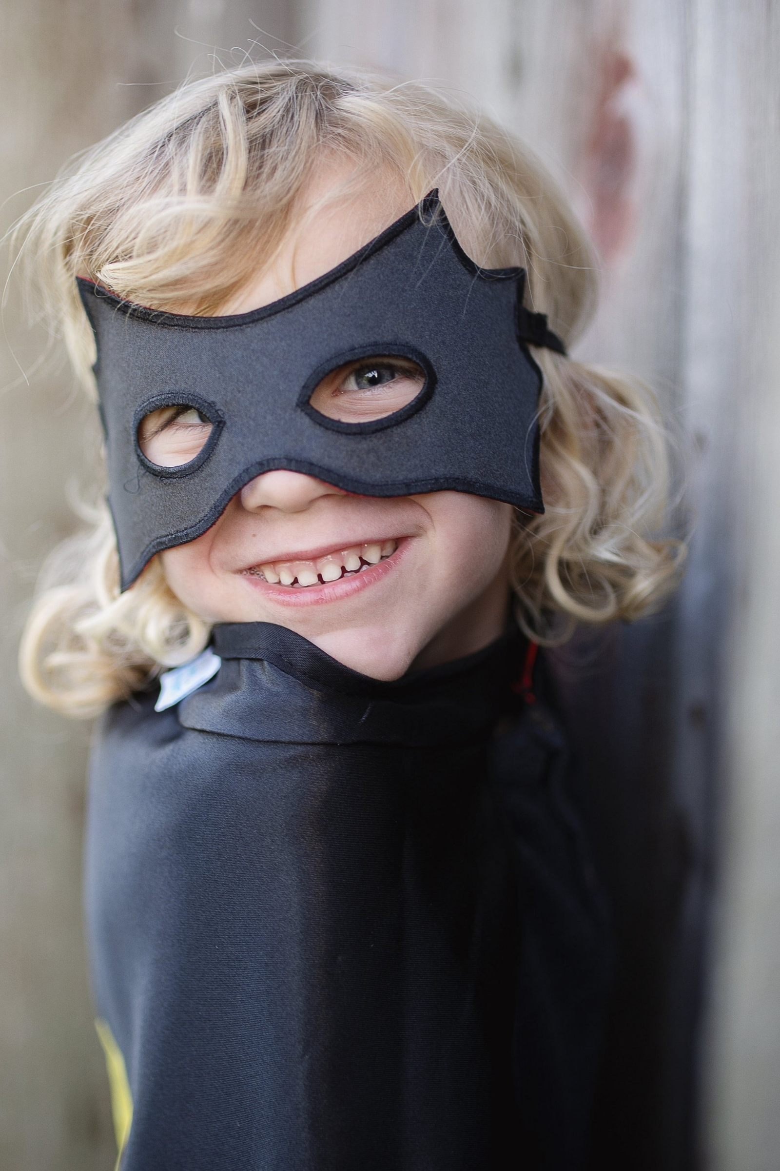 Reversible Spider and Bat Cape with Mask