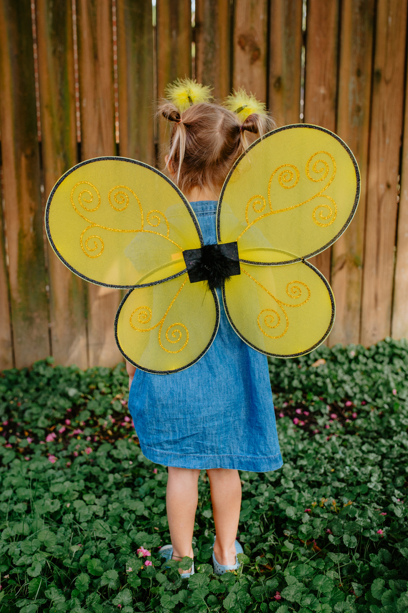 Bumble Bee Wings & Headband Set (2 pcs)