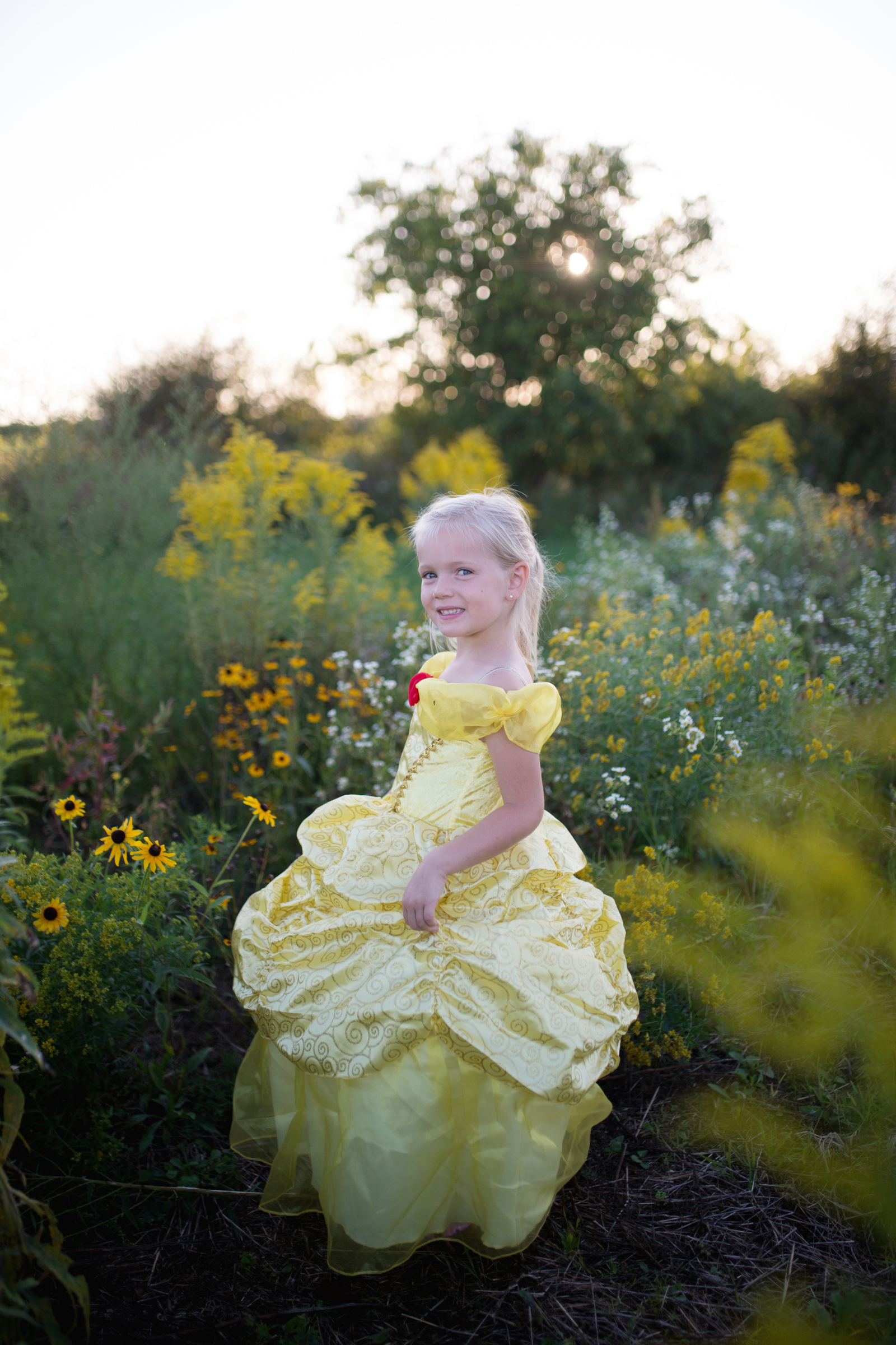 Fairytale Princess Gold Gown