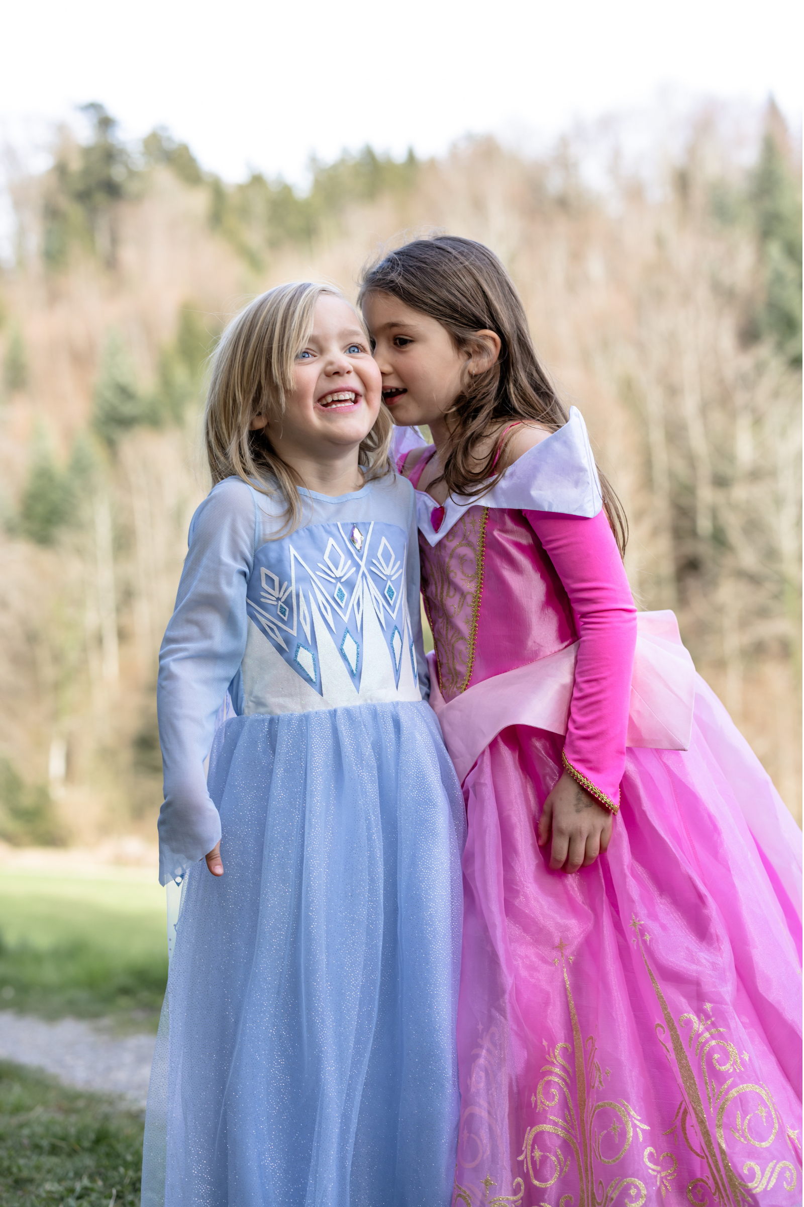 Once Upon a Princess Winter Princess Dress