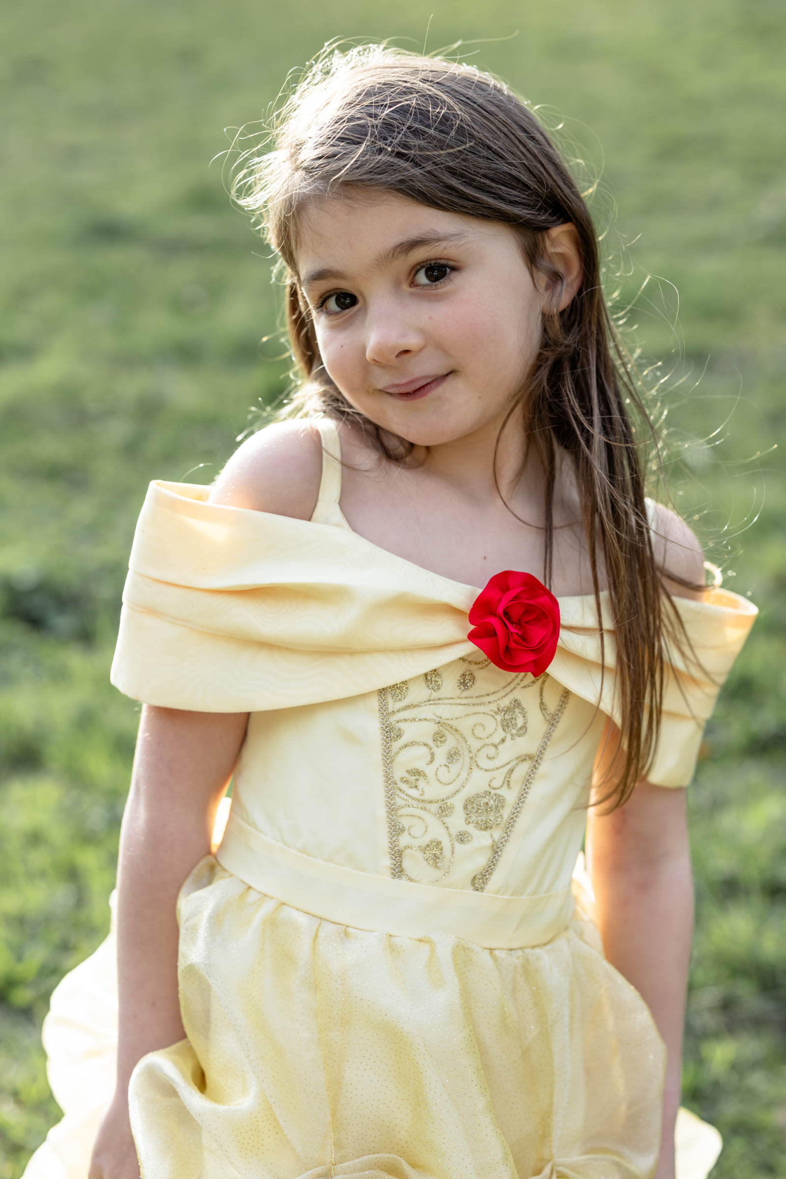 Toddler/ Once Upon a Princess Beauty Dress