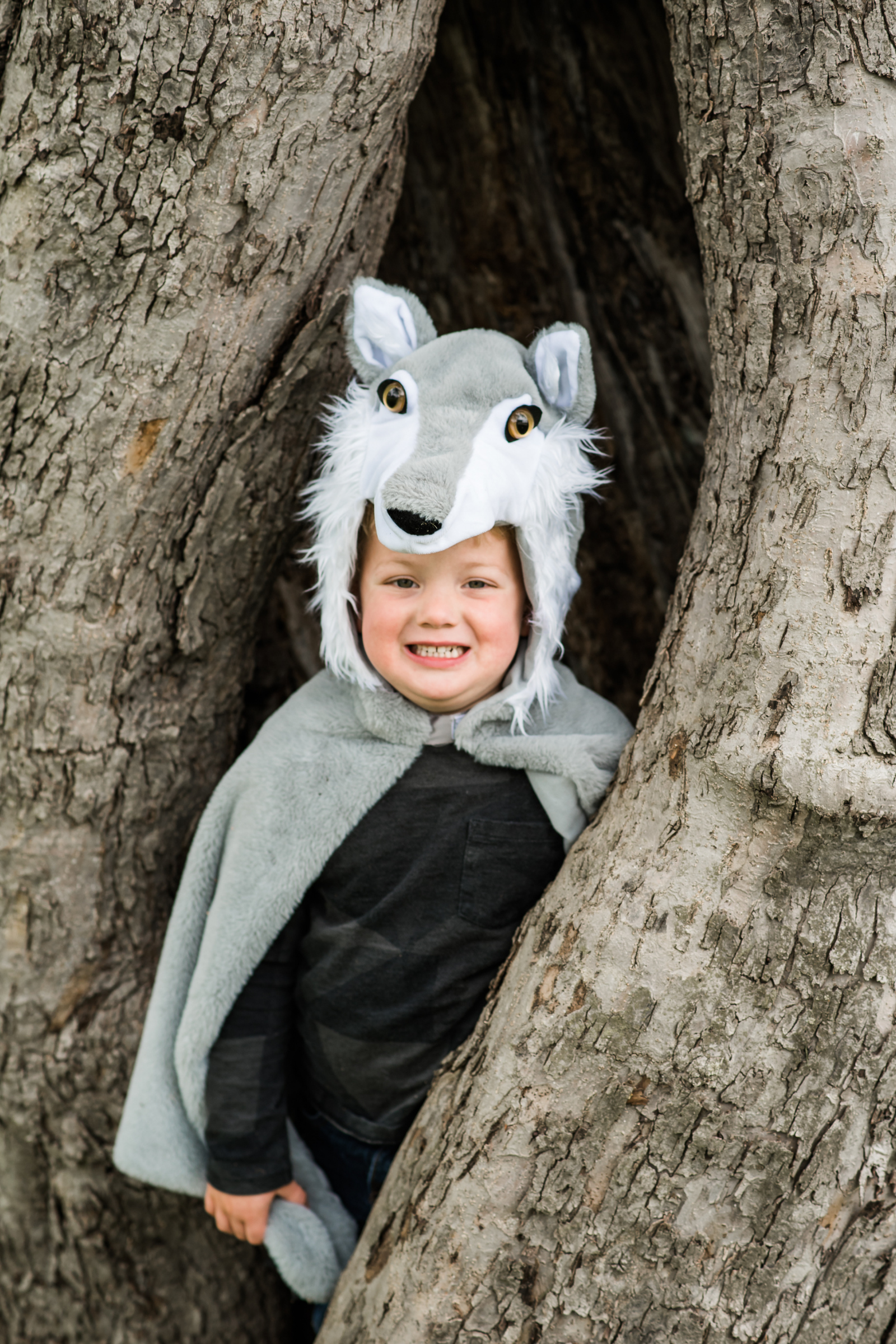 Baby/Toddler/ Woodland Wolf Cape