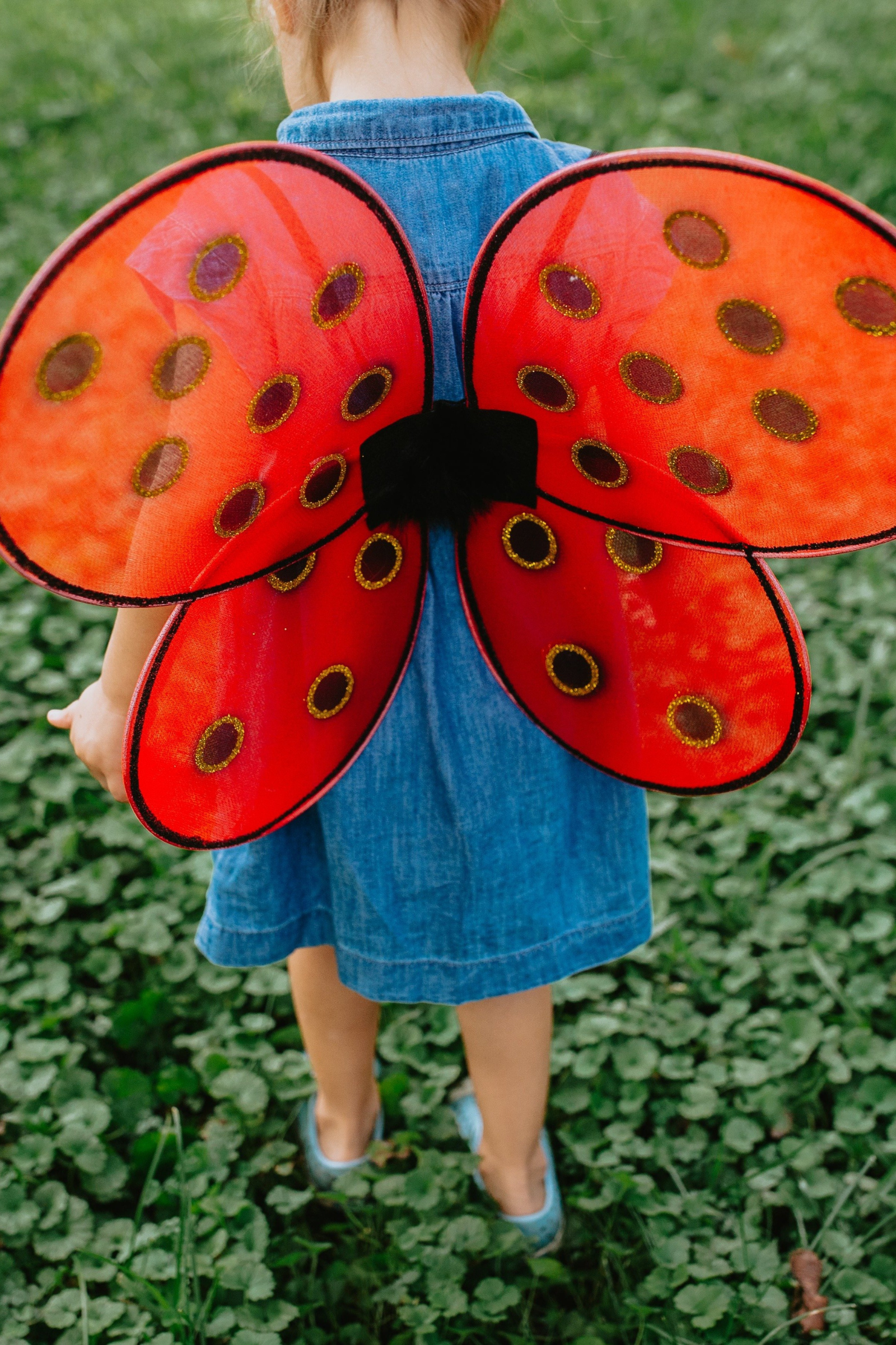 Ladybug Wings & Headband Set (2 pcs)