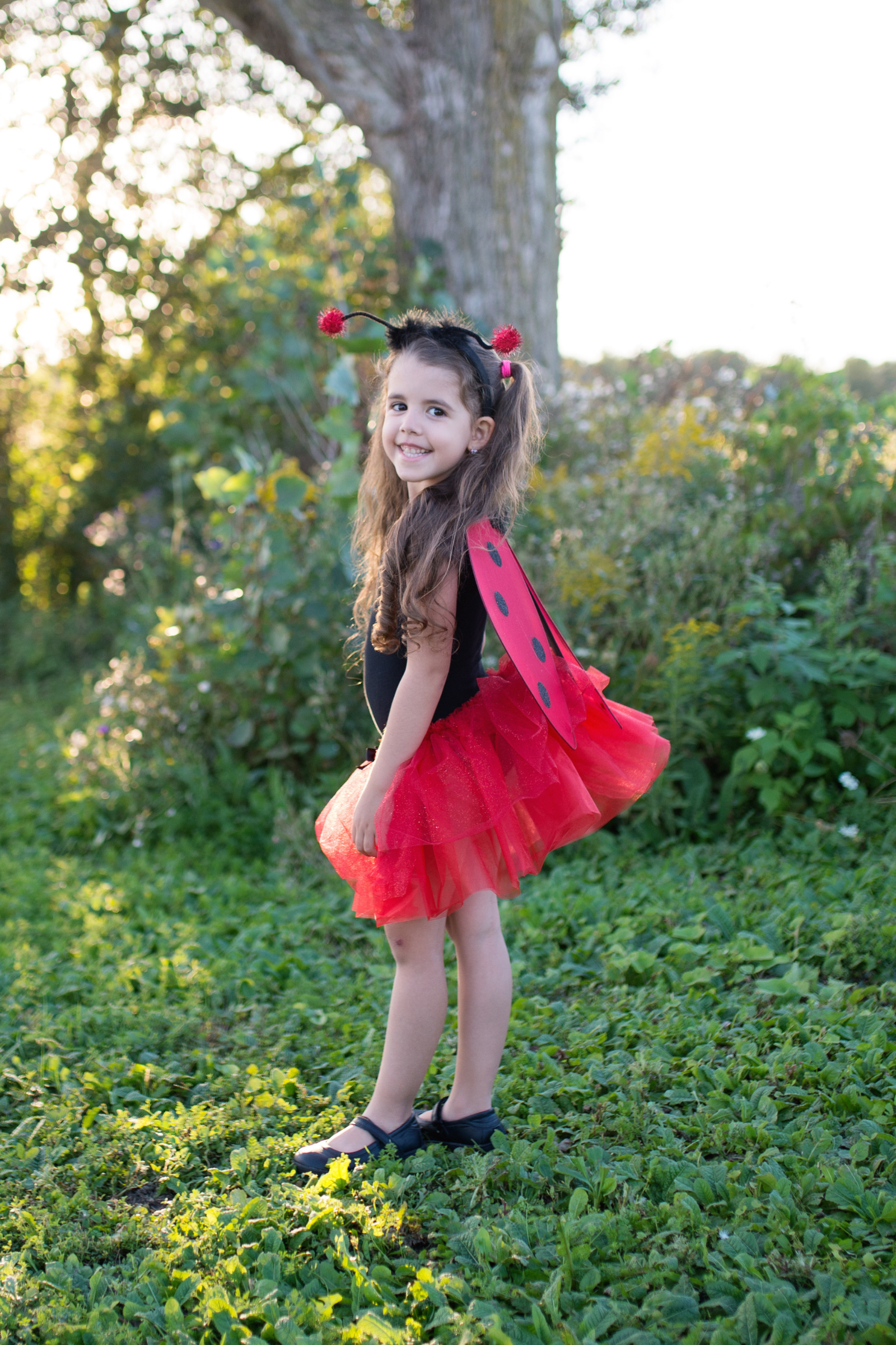 Glitter Ladybug Tutu with Wings & Headband