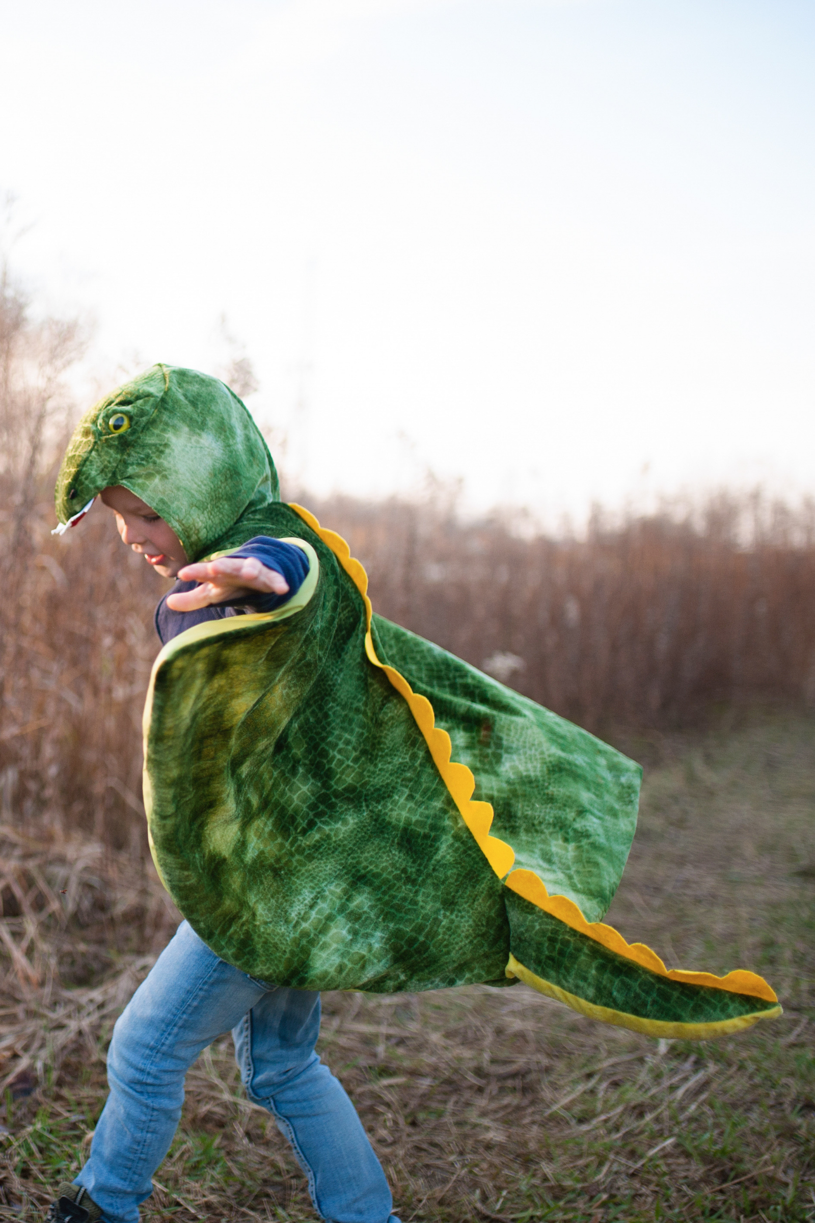 T-Rex Hooded Cape, Green