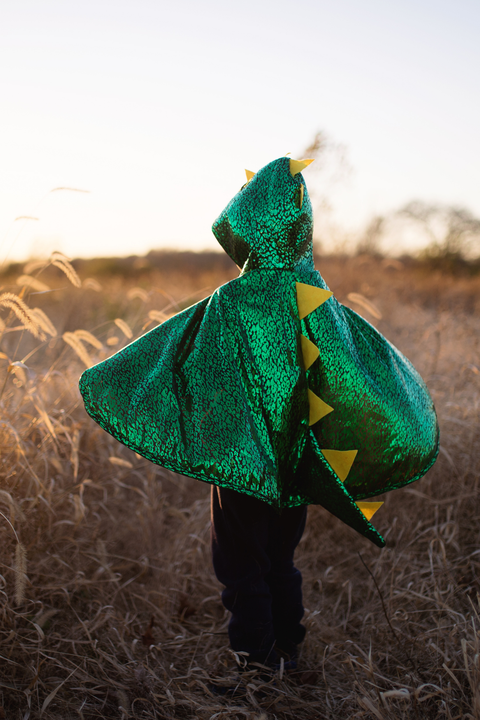 Toddler Dragon Cape, Green