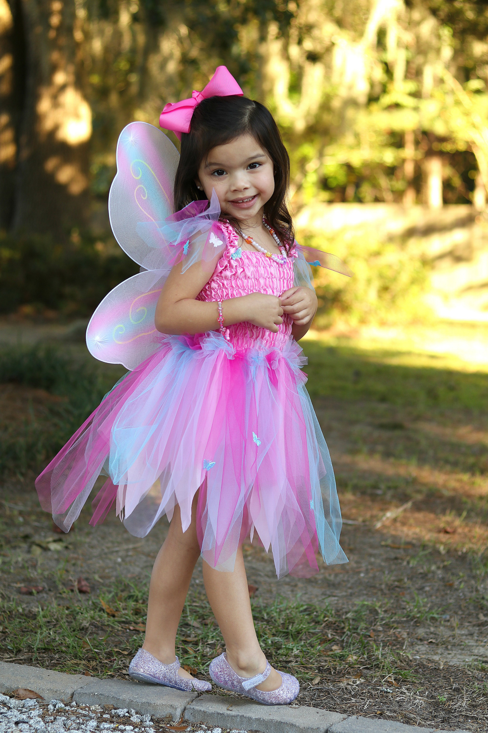 Butterfly Dress with Wings & Wand, Pink