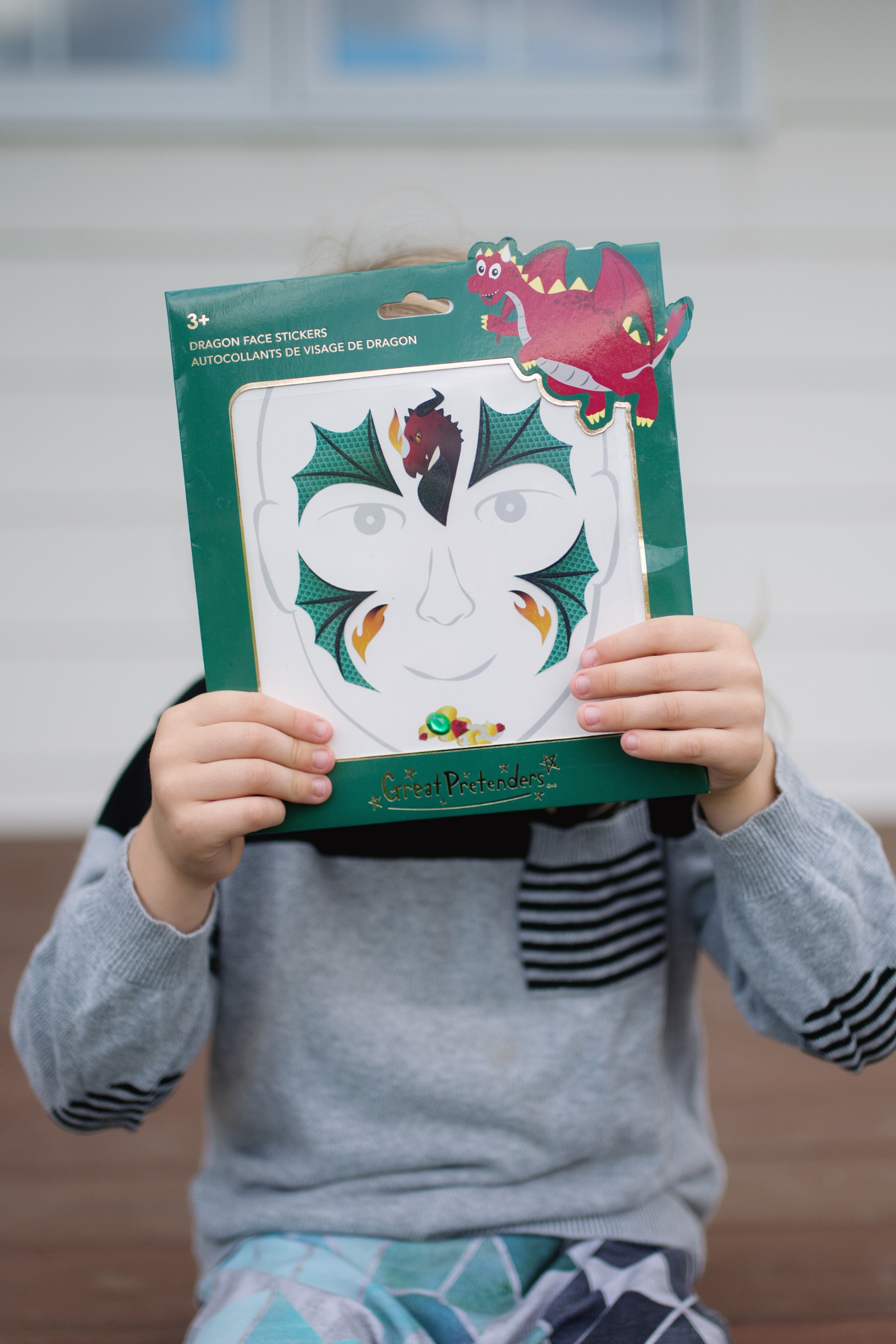 Dragon Face Sticker Sheet (8 pcs)