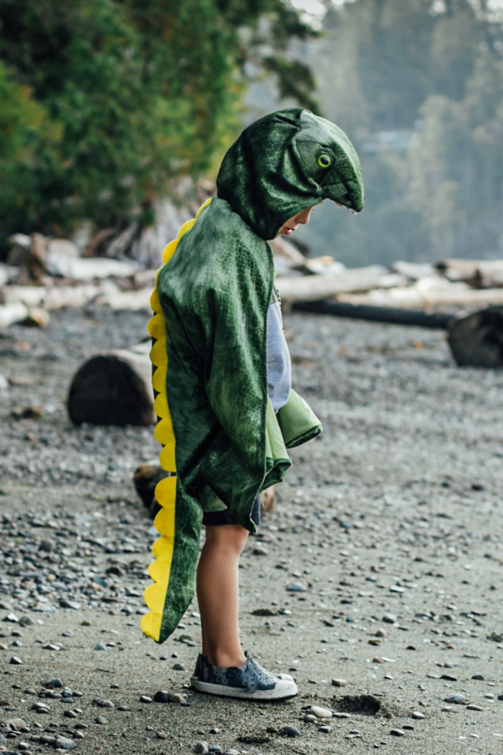 T-Rex Hooded Cape, Green