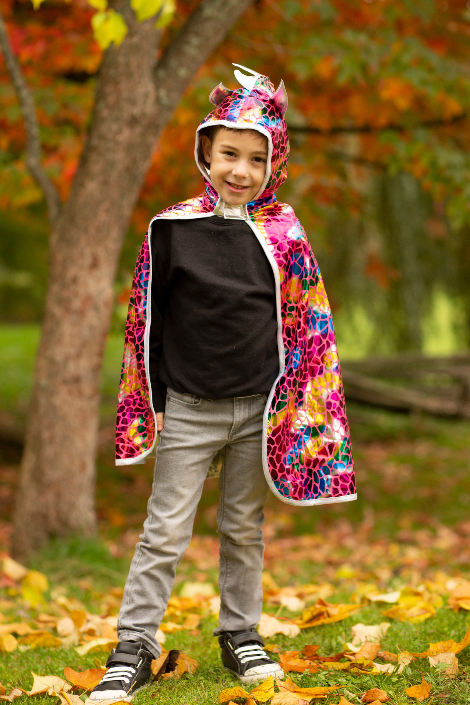 Dragon Knight Cape, Multicolour/Silver