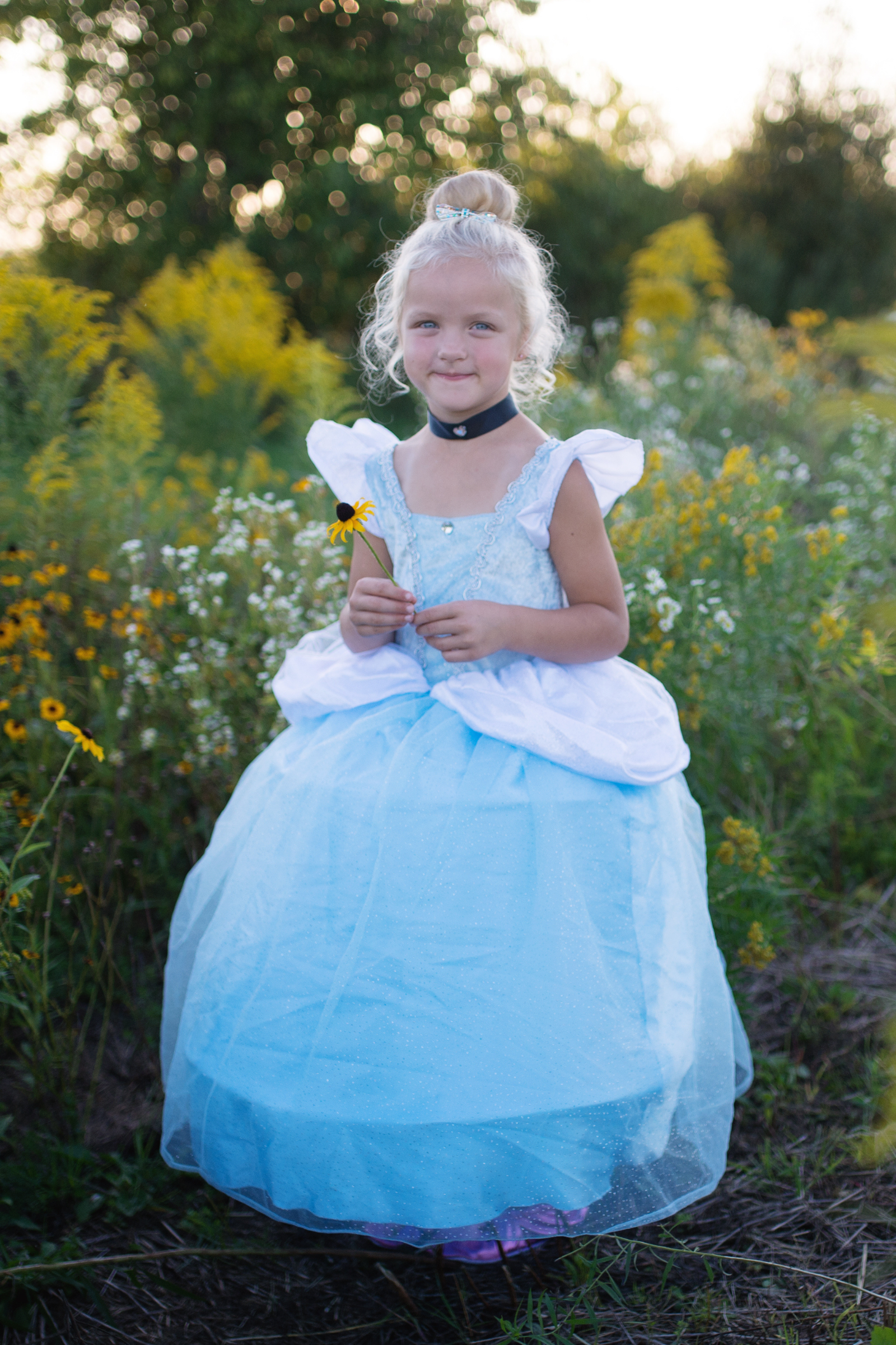 Fairytale Princess Blue Gown