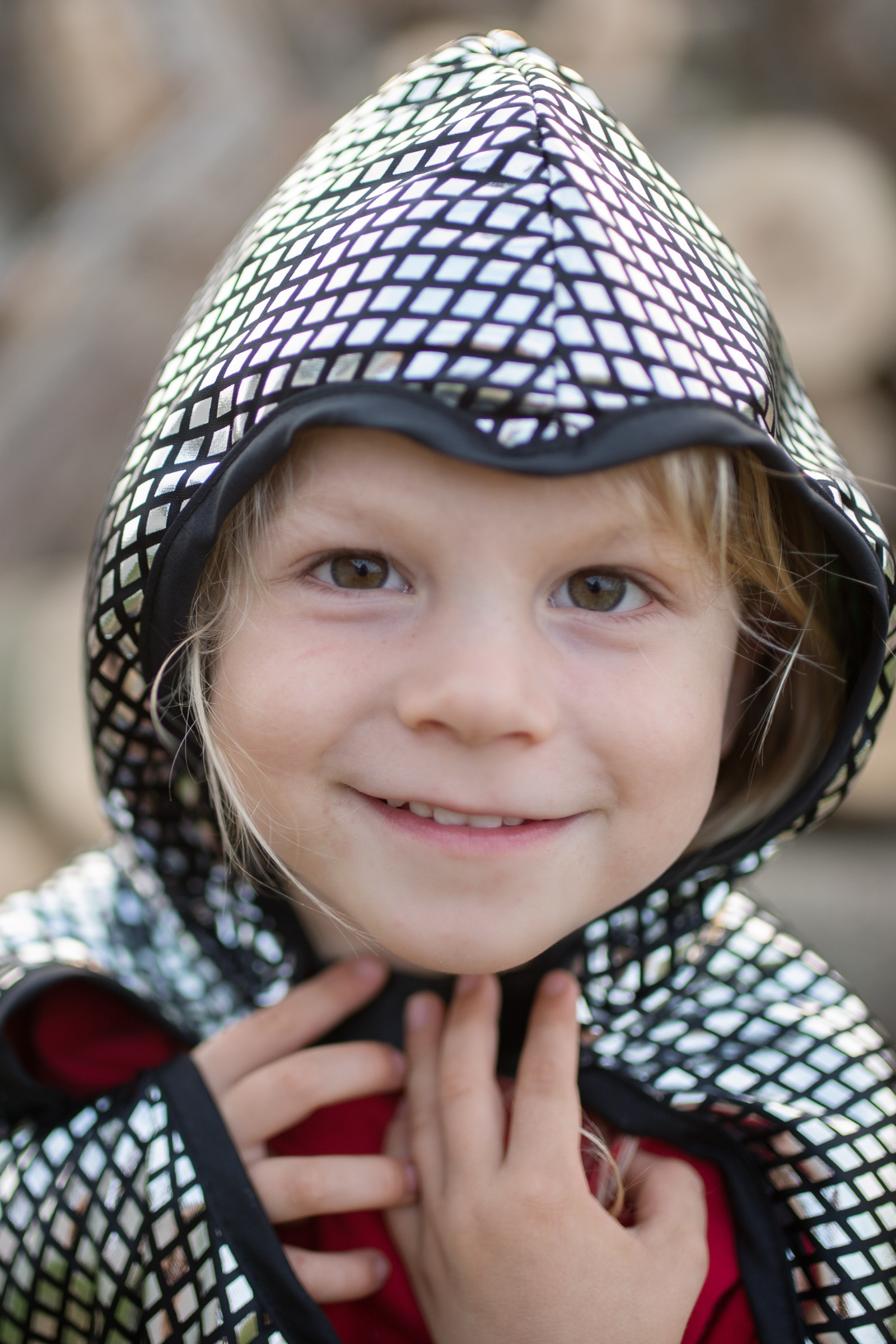 Reversible Dragon and Knight Cape