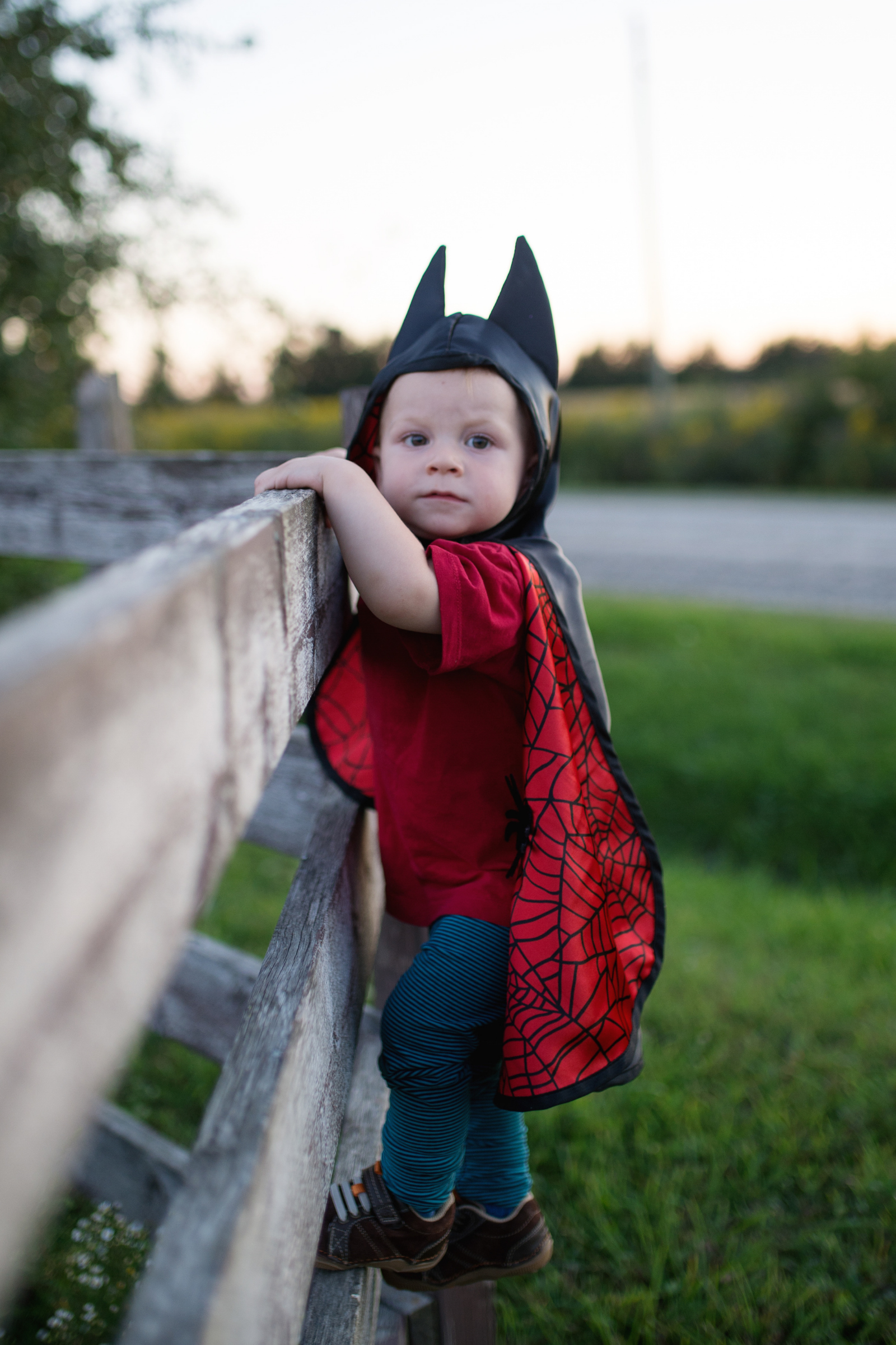 Baby/Toddler Reversible Spider and Bat Cape
